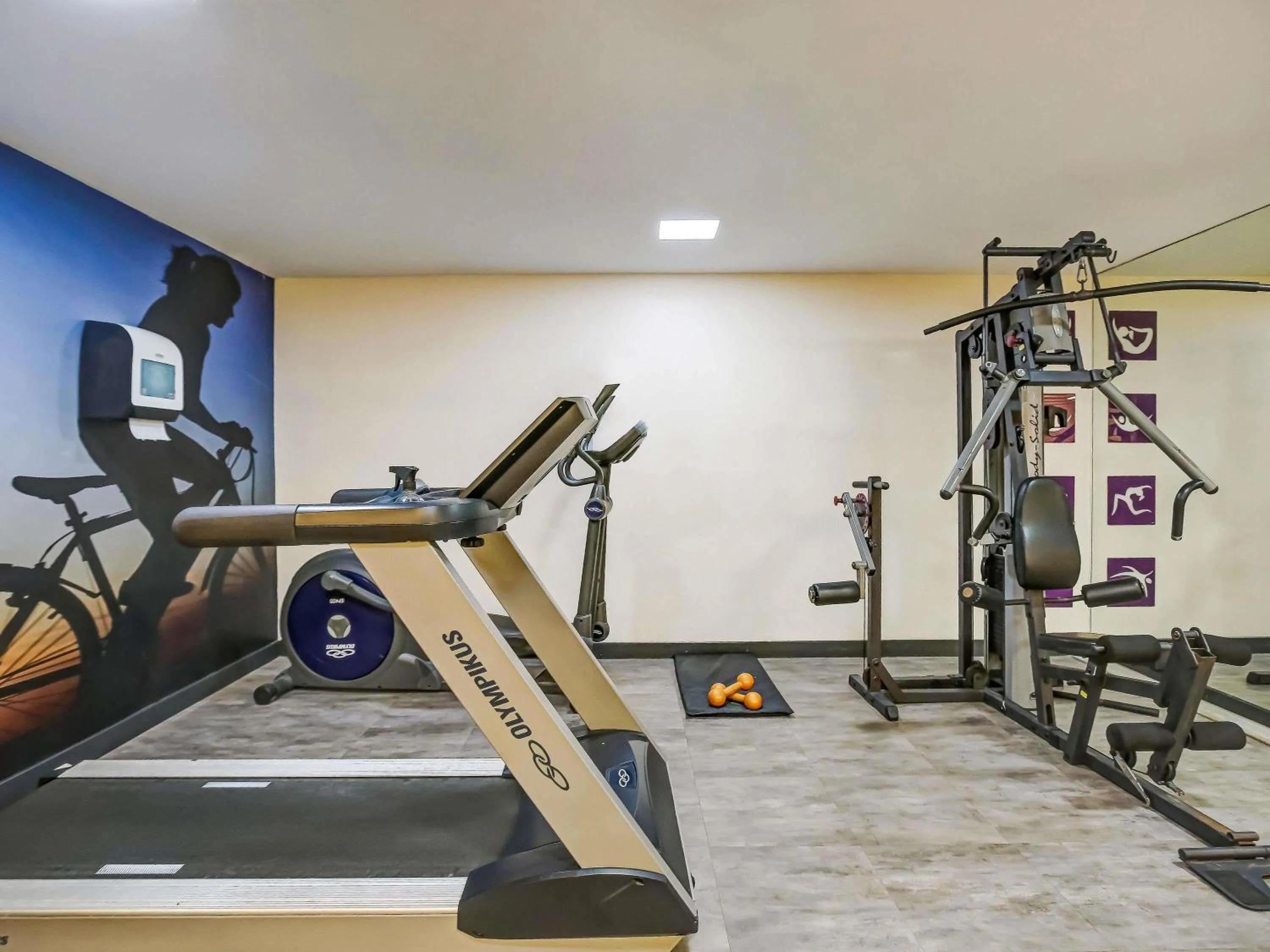 Fitness centre/facilities in Mercure Rio de Janeiro Barra da Tijuca