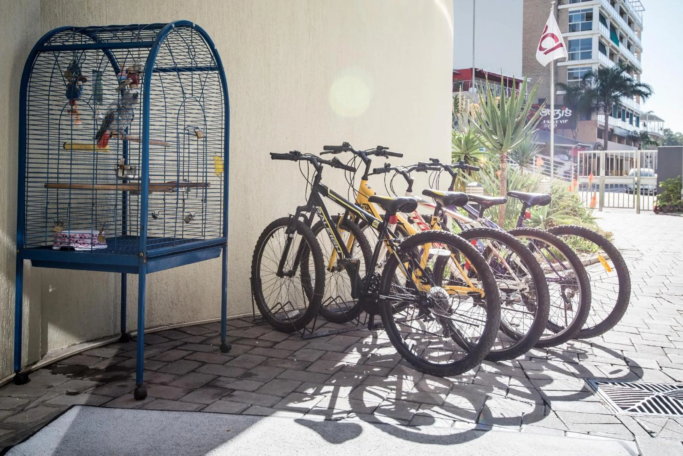 Cycling in First Group Margate Sands