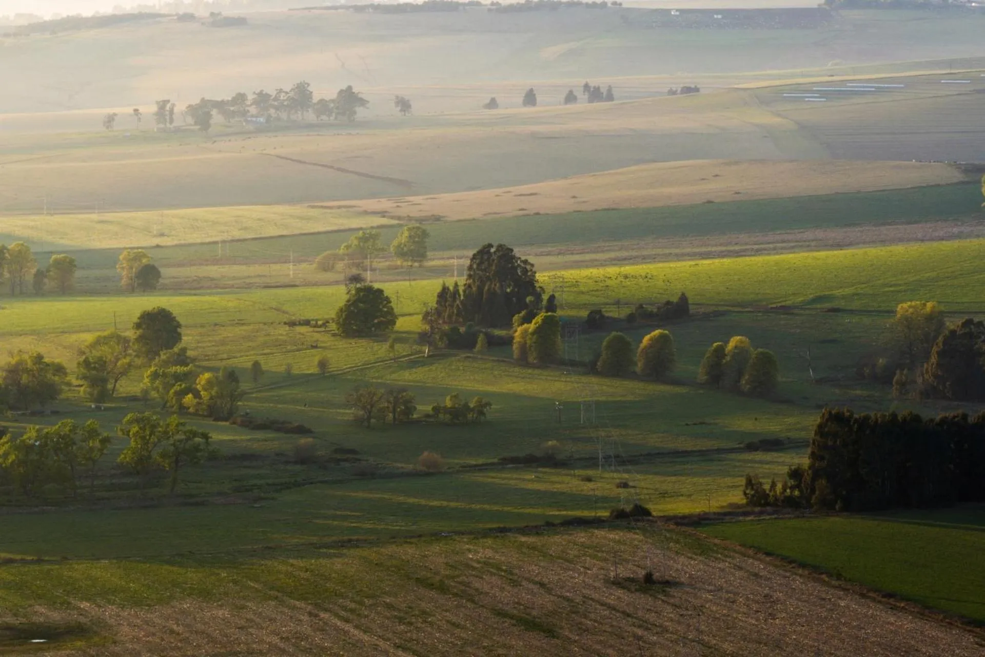 Day in First Group Midlands Saddle and Trout