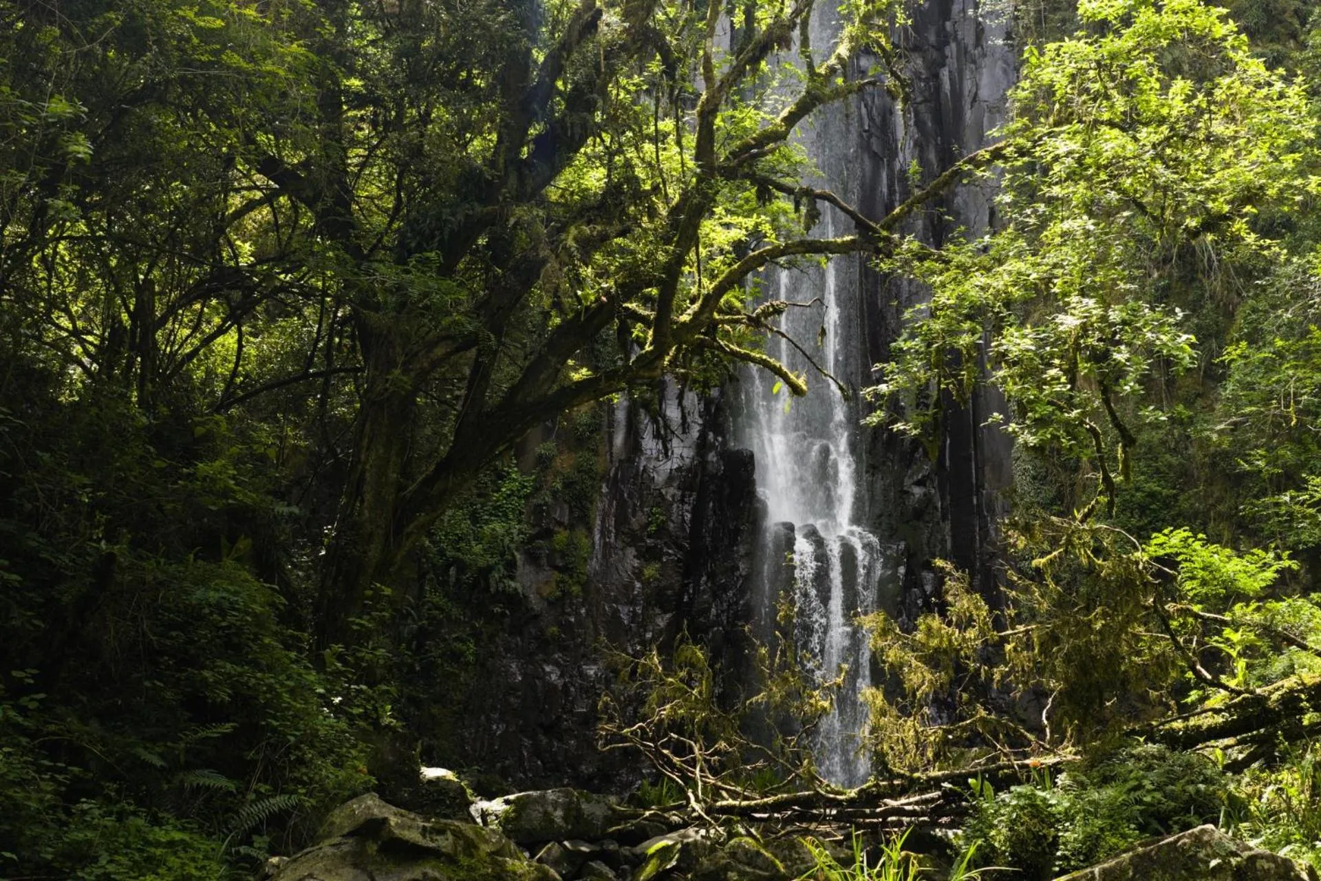 Spring in First Group Midlands Saddle and Trout