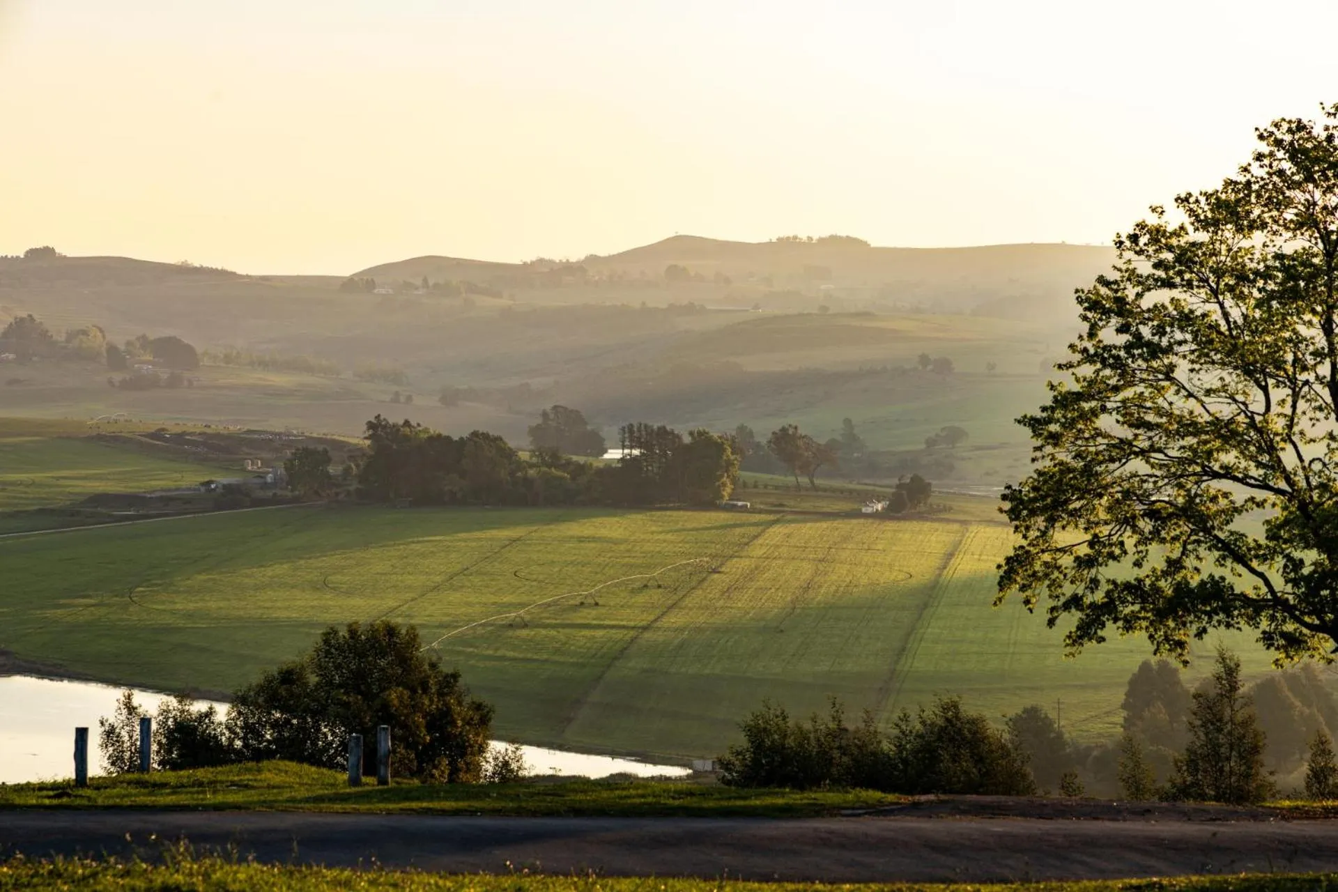 Day in First Group Midlands Saddle and Trout