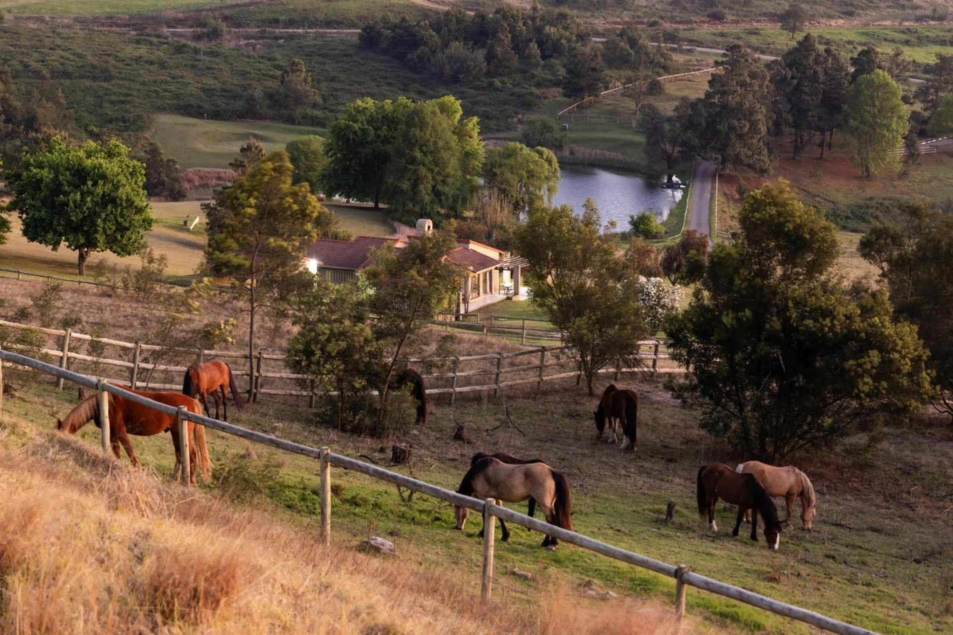Day in First Group Midlands Saddle and Trout