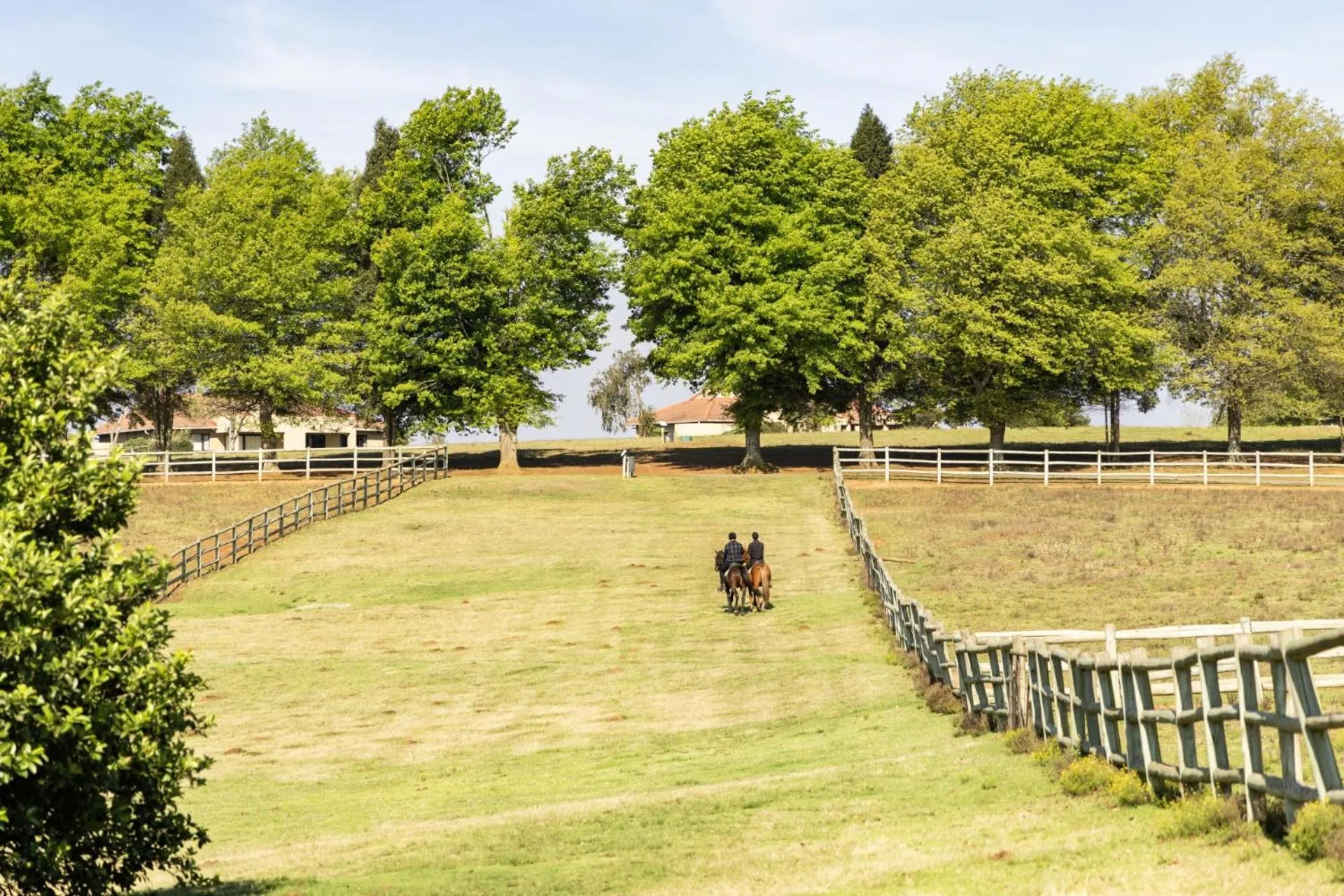 Day in First Group Midlands Saddle and Trout