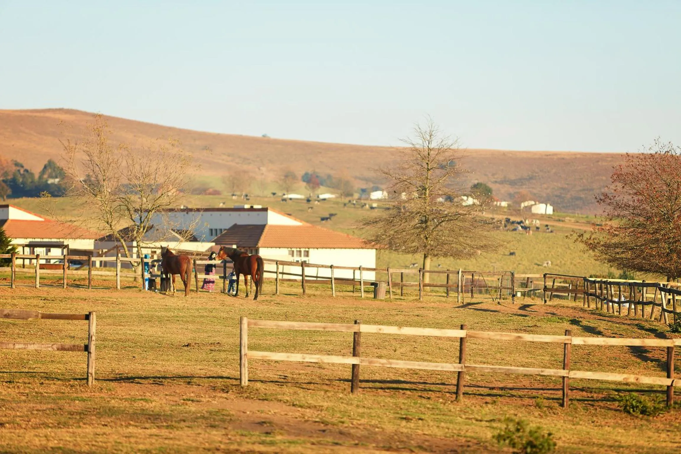 Property building in First Group Midlands Saddle and Trout