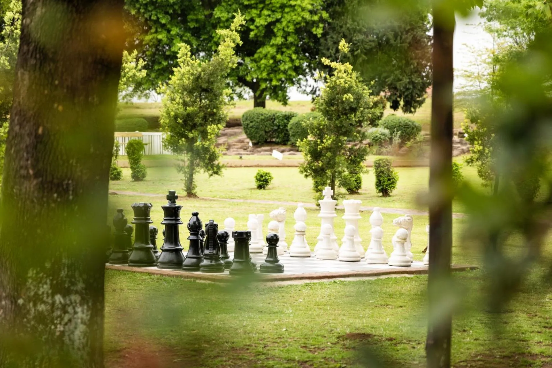 Day in First Group Midlands Saddle and Trout