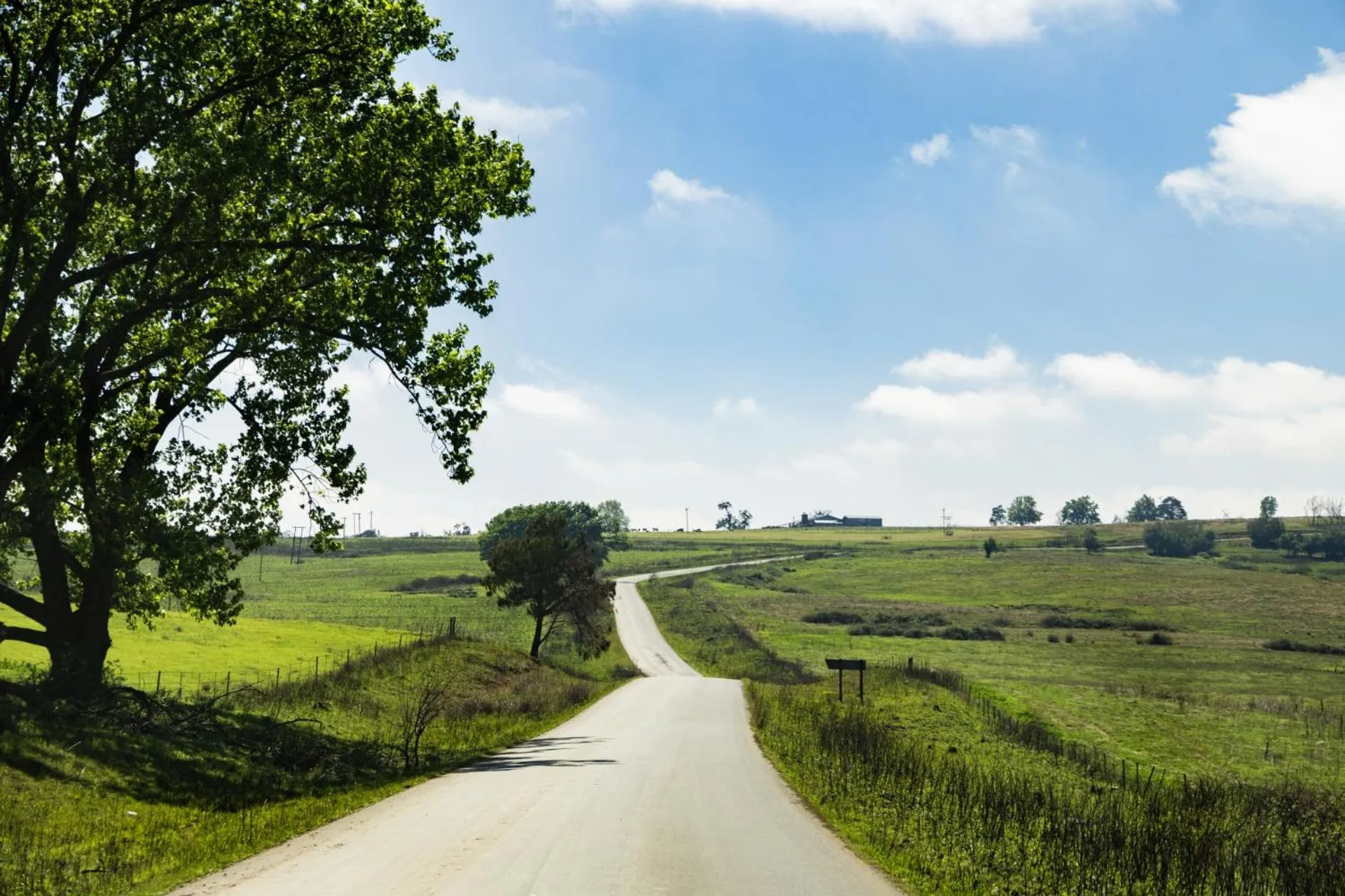 Day in First Group Midlands Saddle and Trout