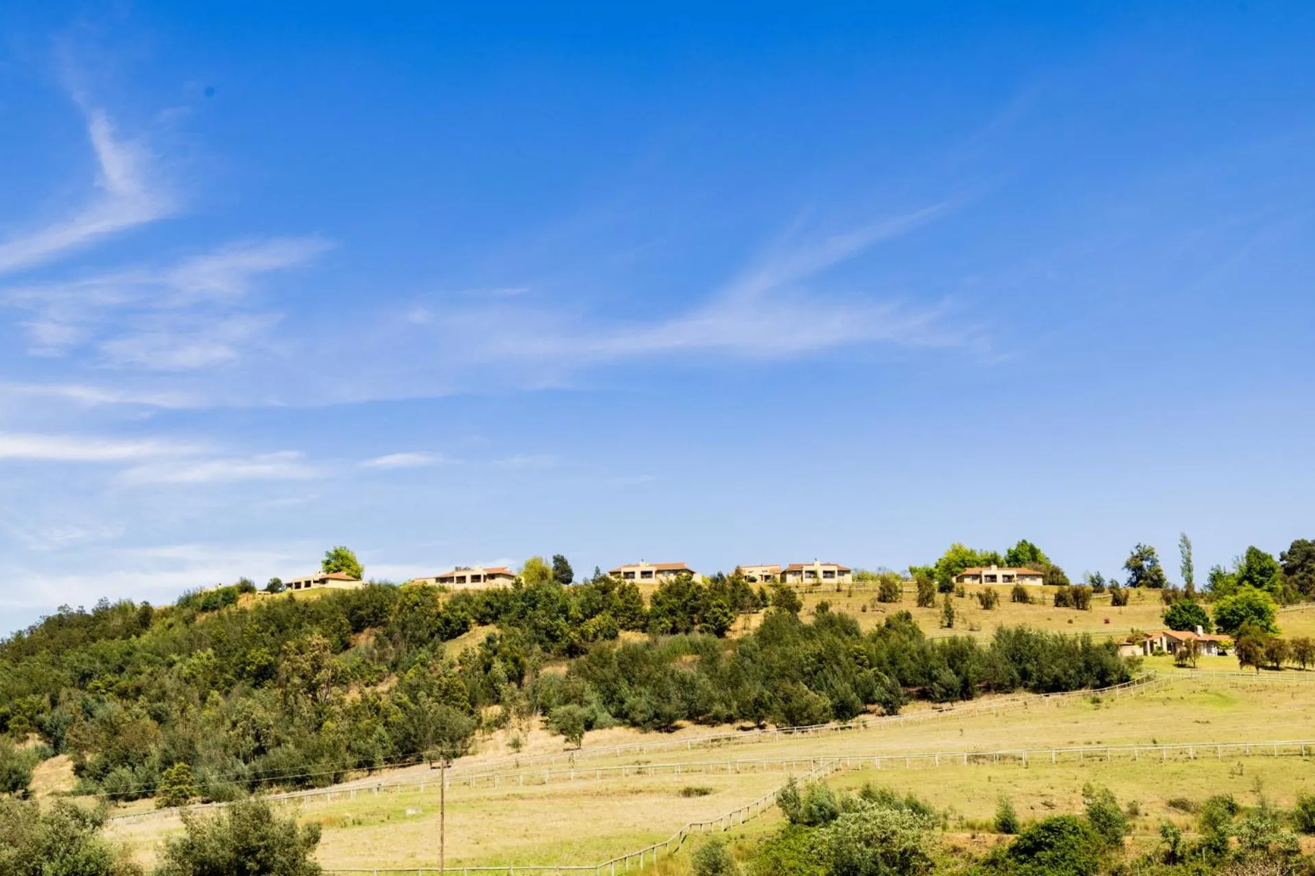 Day in First Group Midlands Saddle and Trout