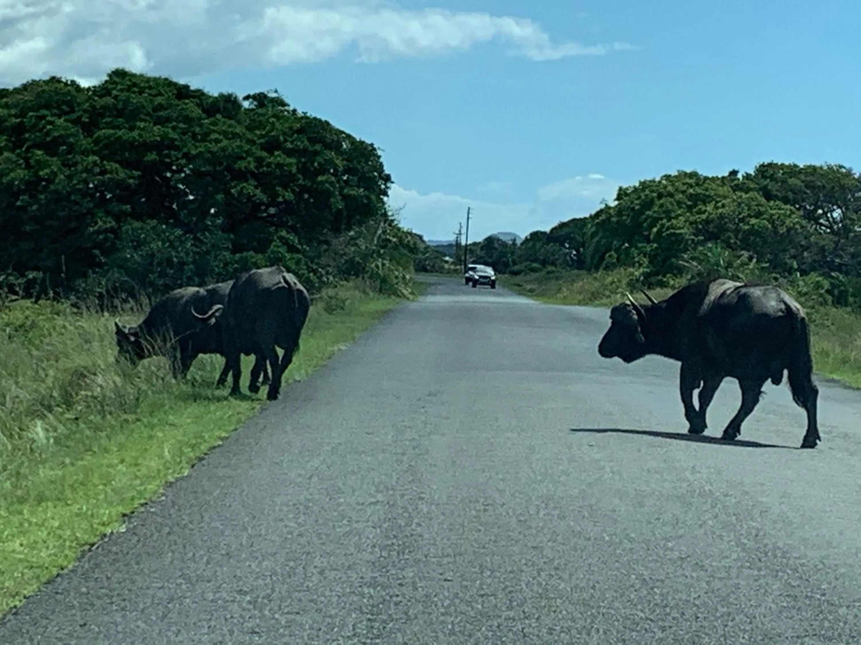 Activities in Perna Perna Lodge St Lucia