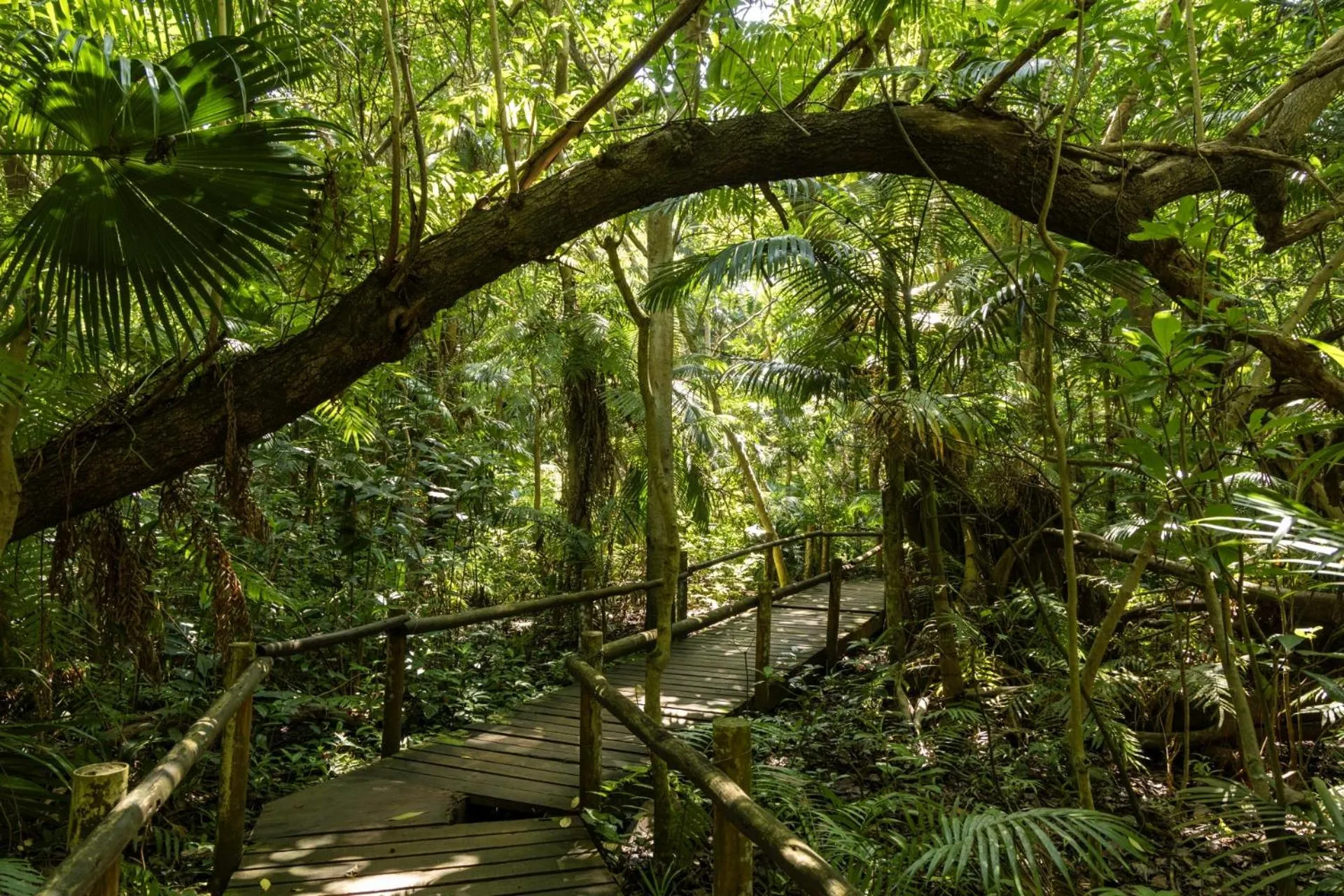 Natural landscape in First Group La Montagne