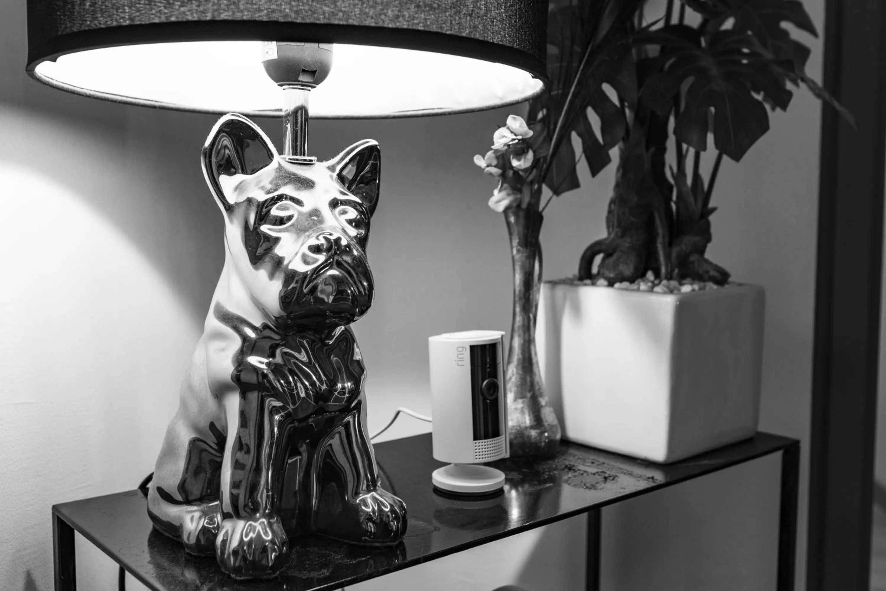 Decorative detail in Chambre d'Amis - Chambres d'Hôtes-B&B-Guest House