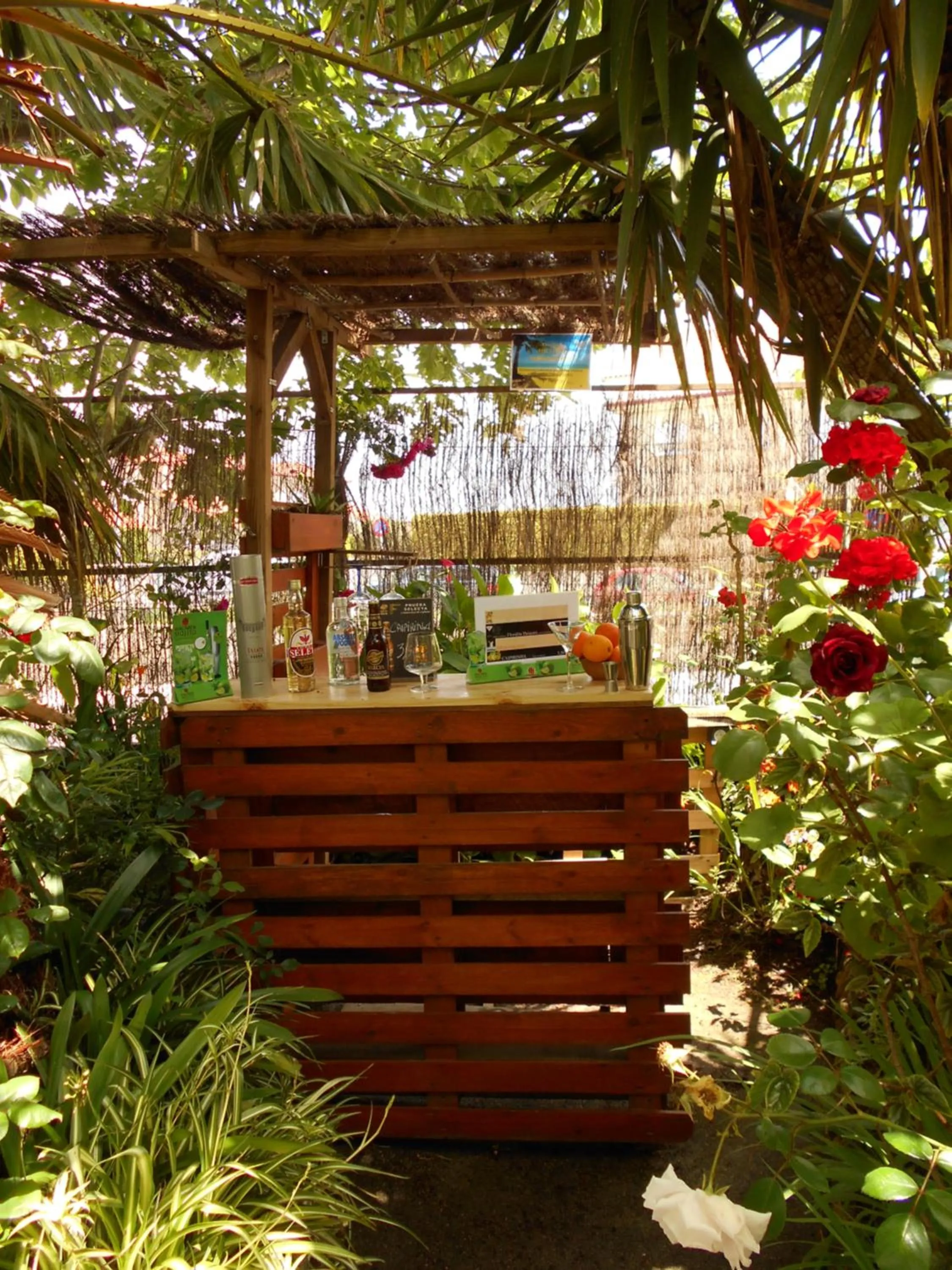 Garden in Hotel Vasco Da Gama