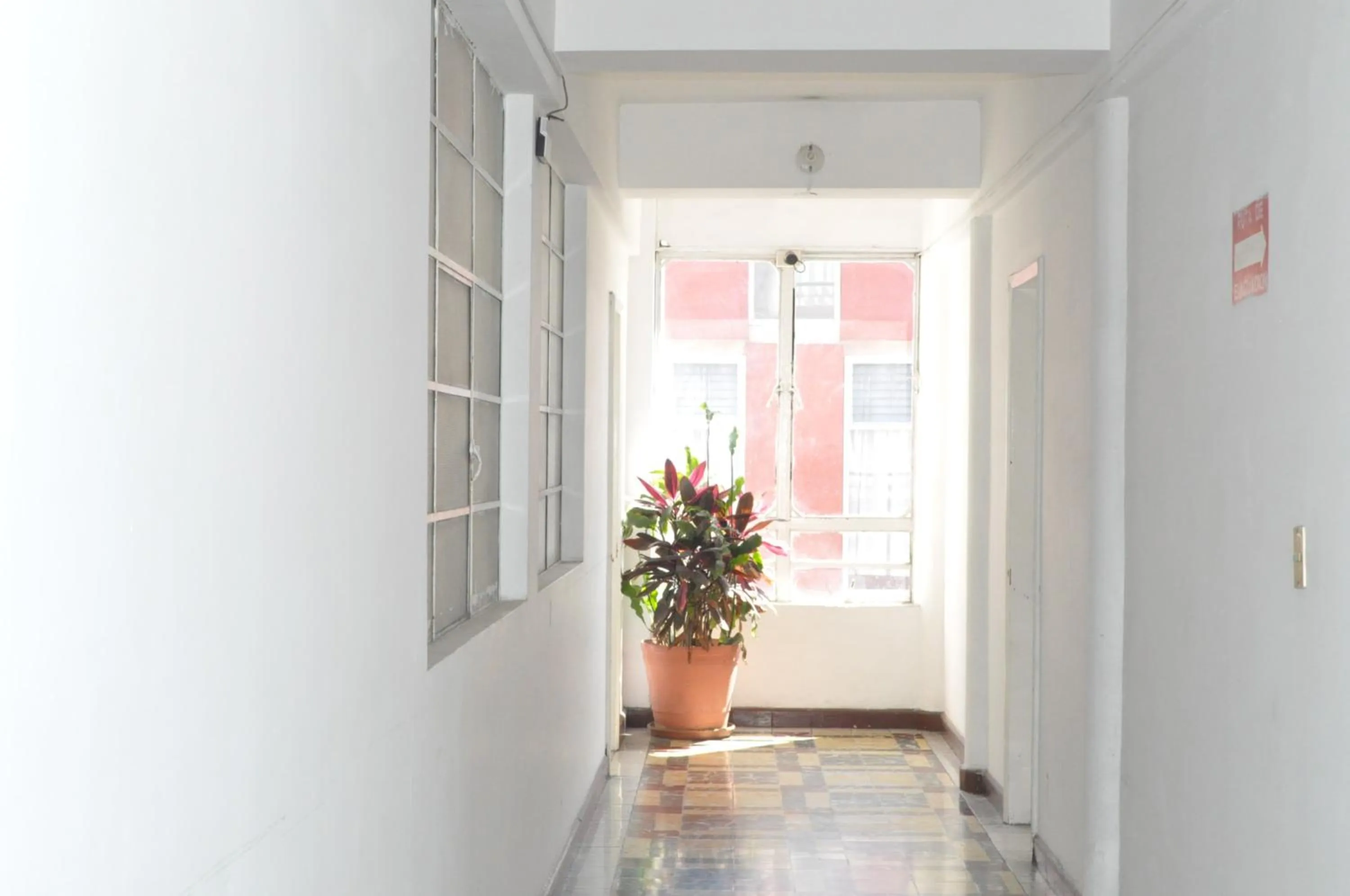 Property building in Hotel San Carlos