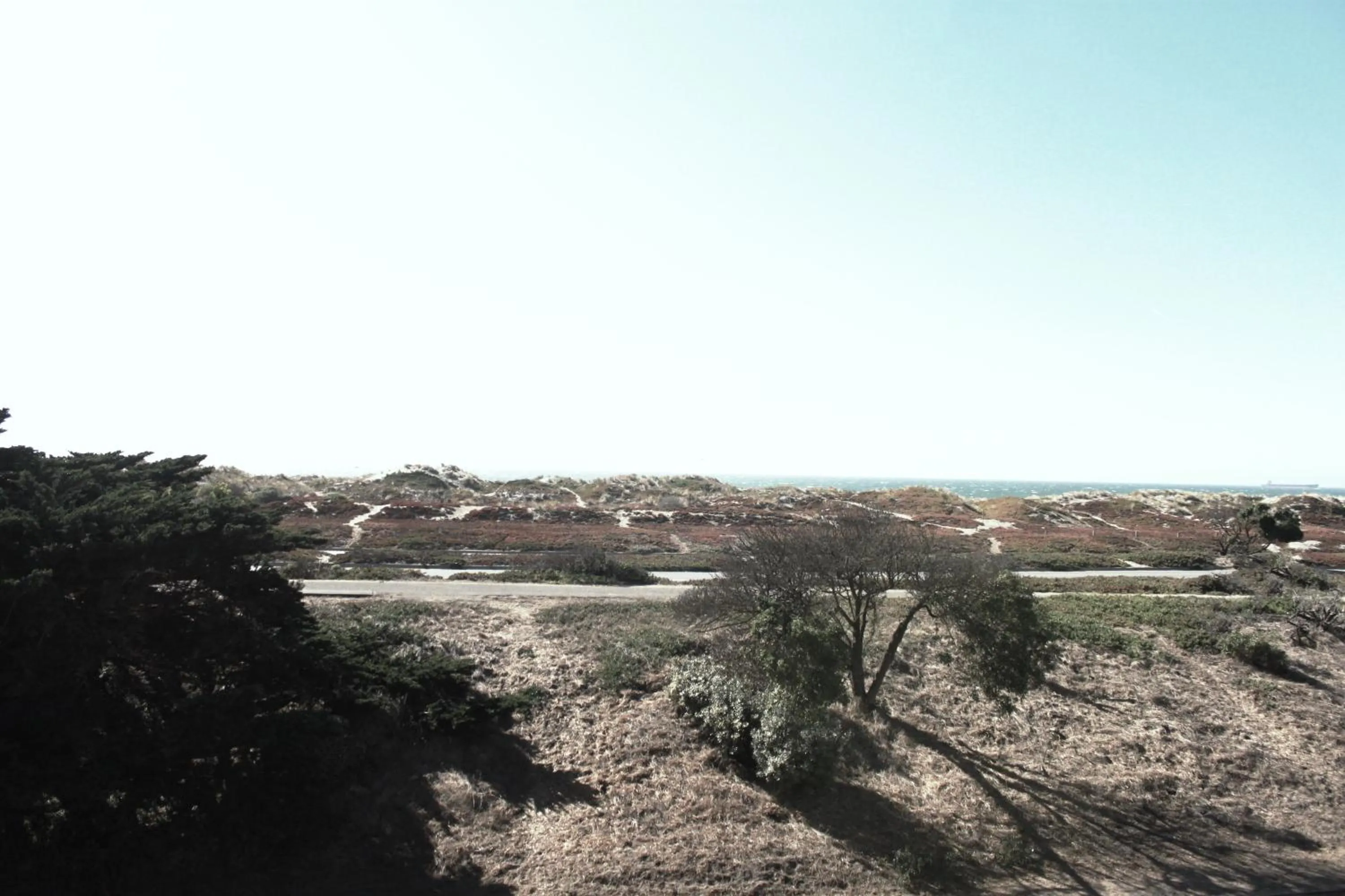 Natural landscape in Motel 6 San Francisco, CA Great Highway