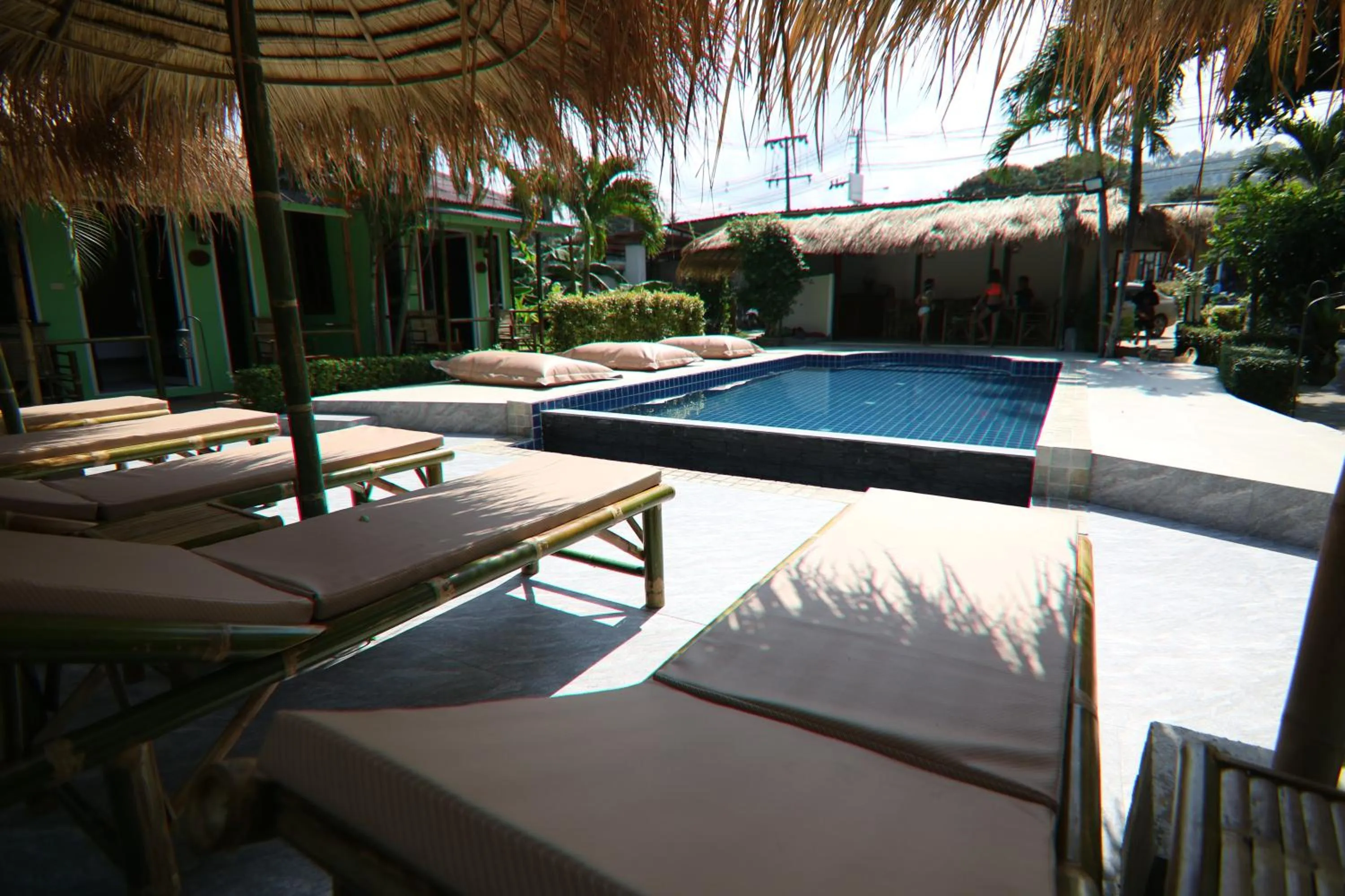 Day in Avocado Koh Samui