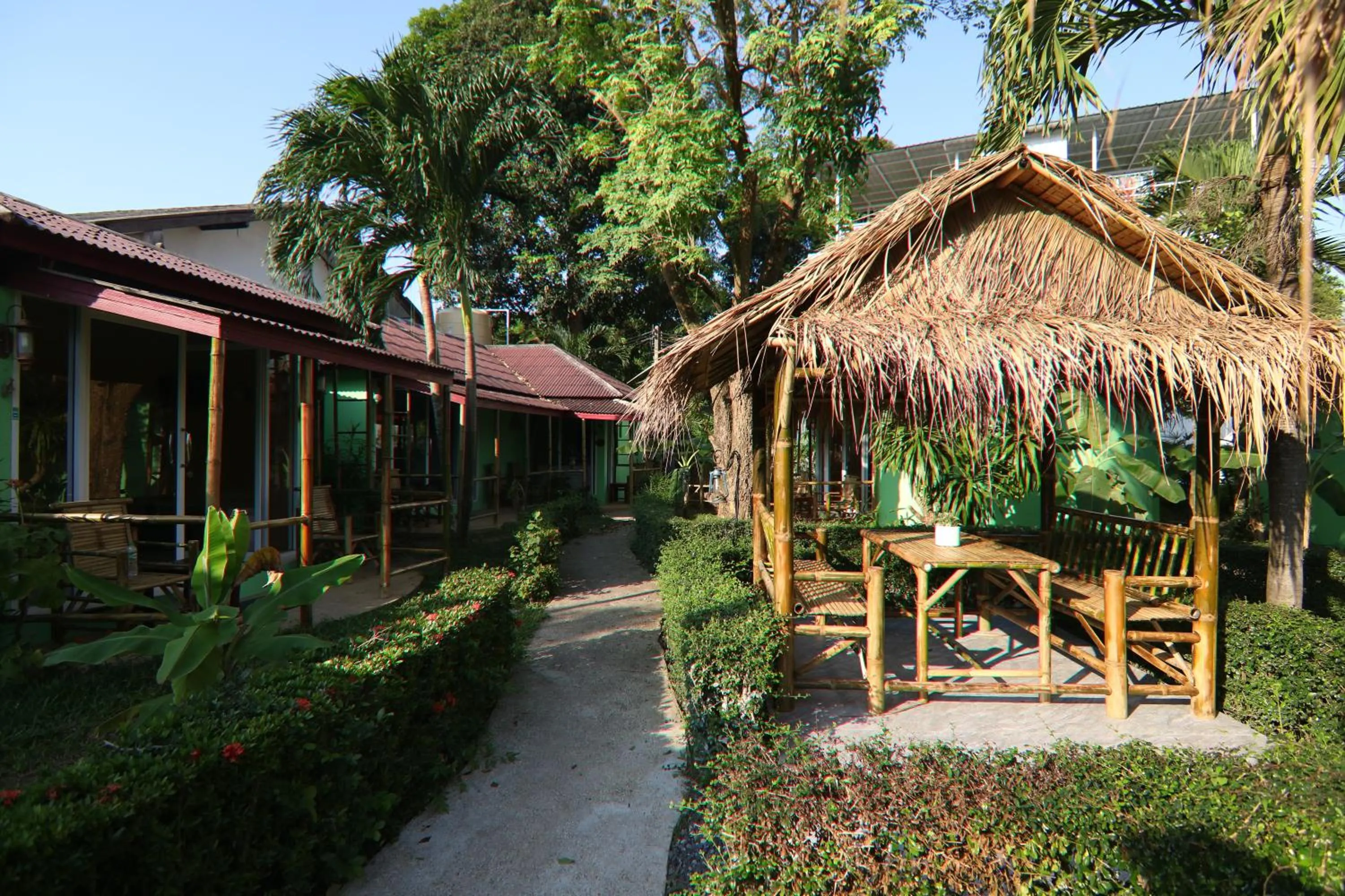 Property building in Avocado Koh Samui