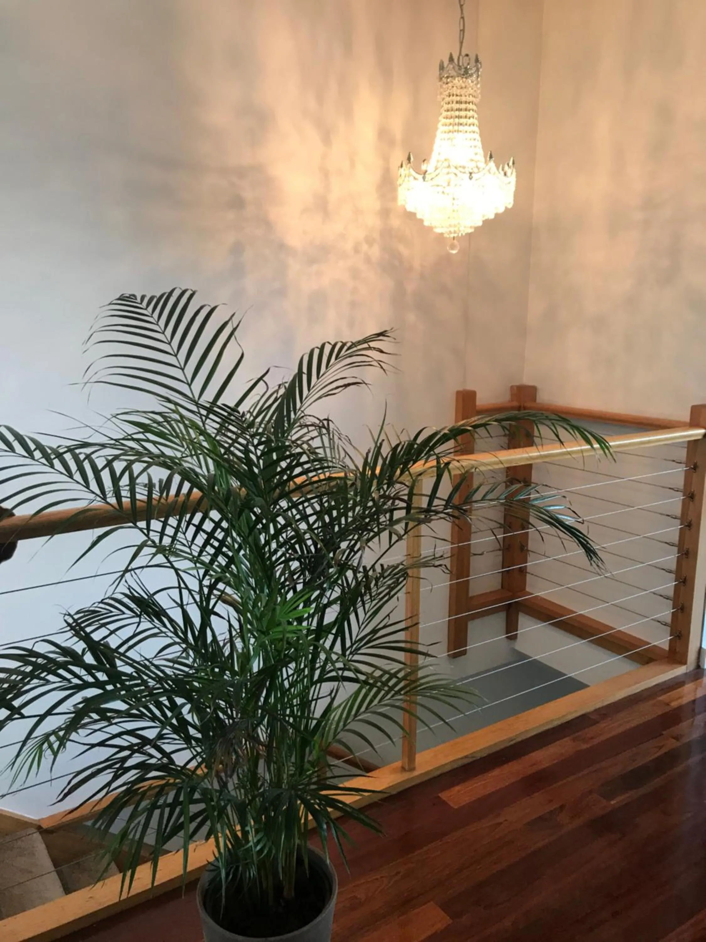 Beachside Apartments Bonbeach