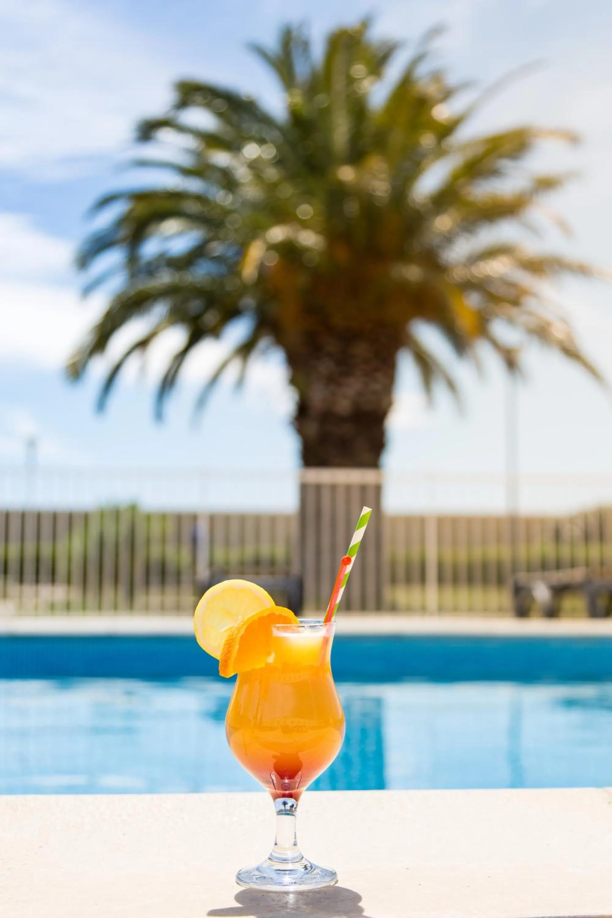 Garden in ibis Perpignan Nord Rivesaltes