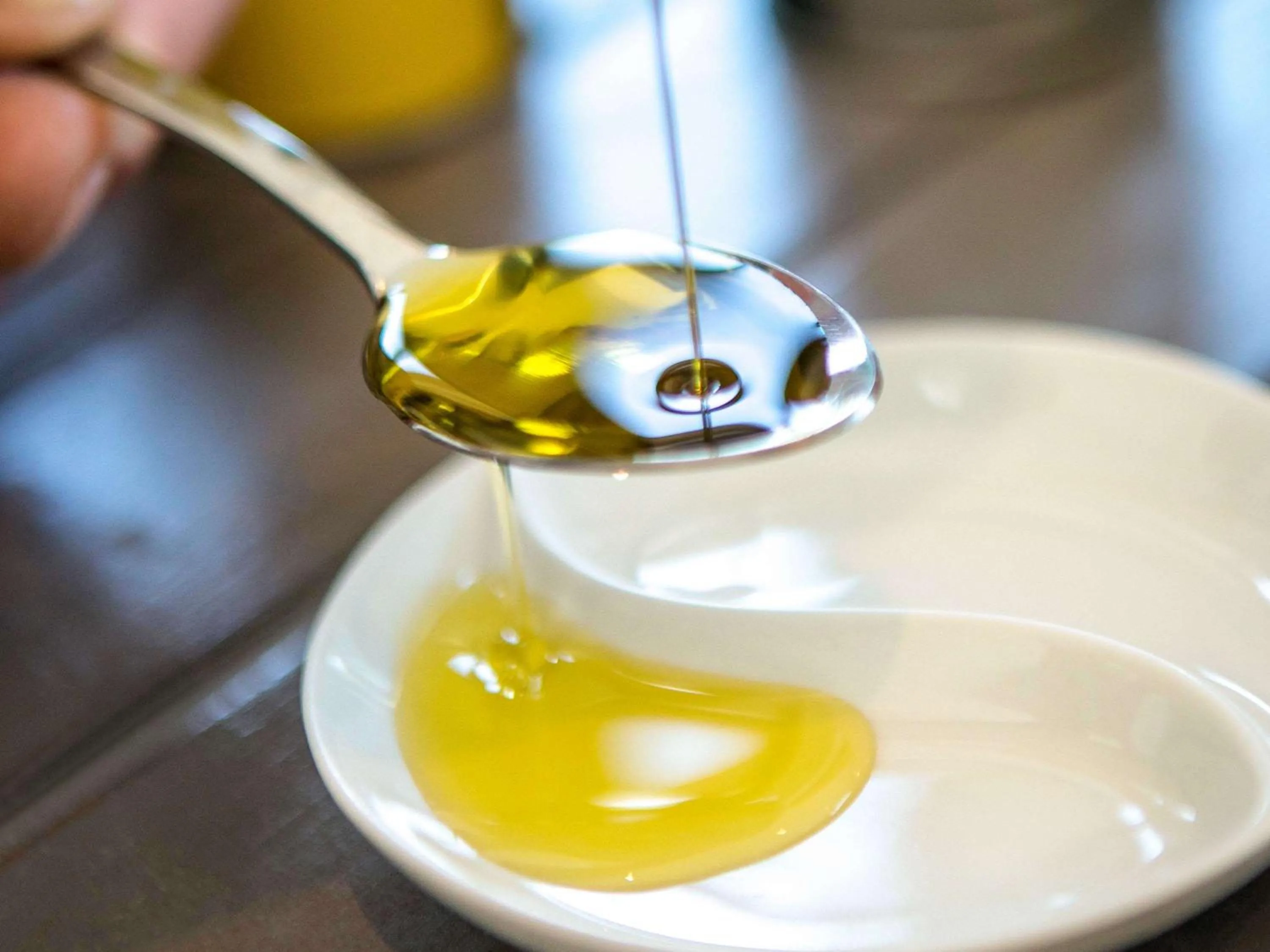 Other in ibis Perpignan Nord Rivesaltes