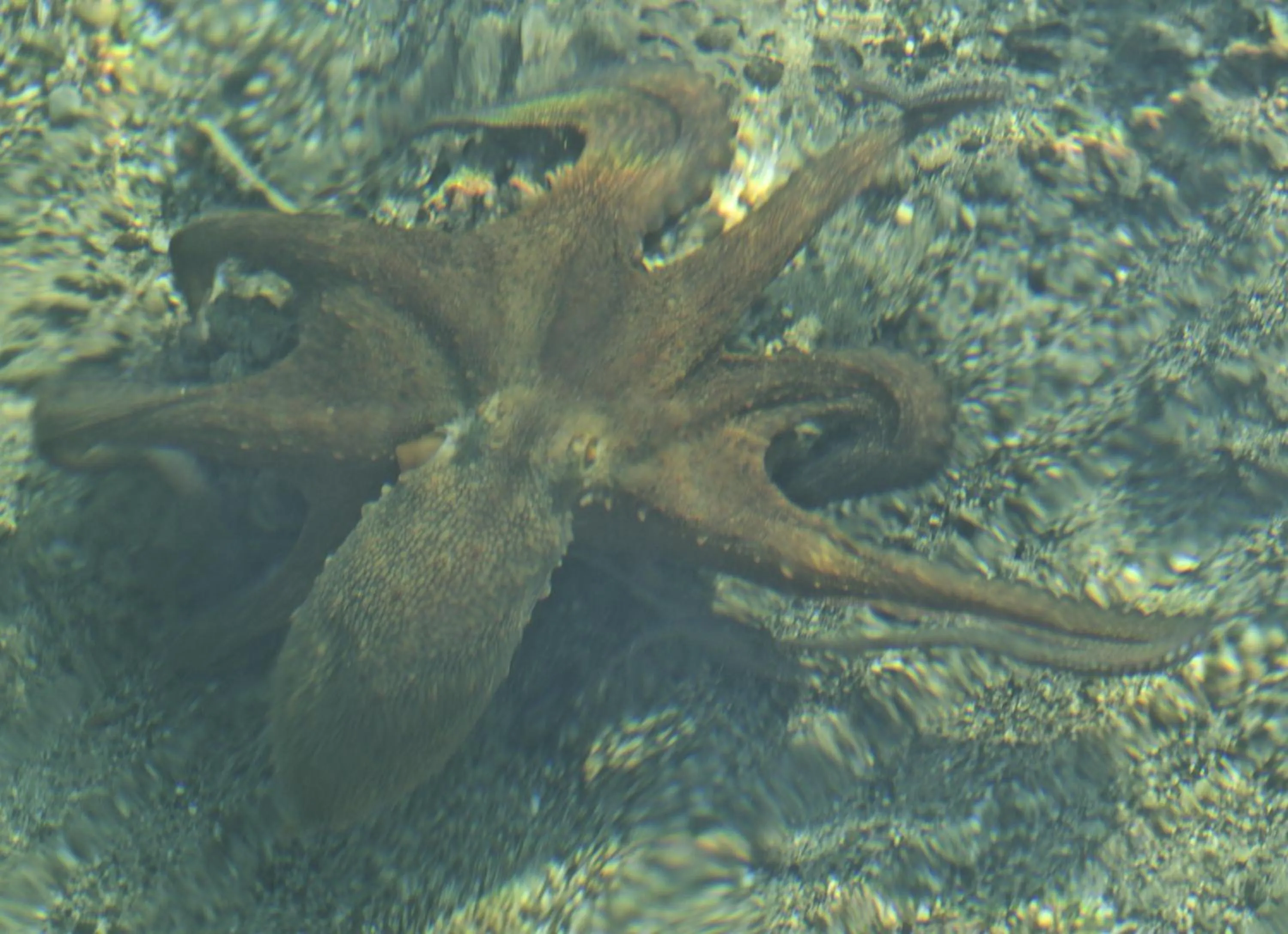 Area and facilities in Sovalye Hotel