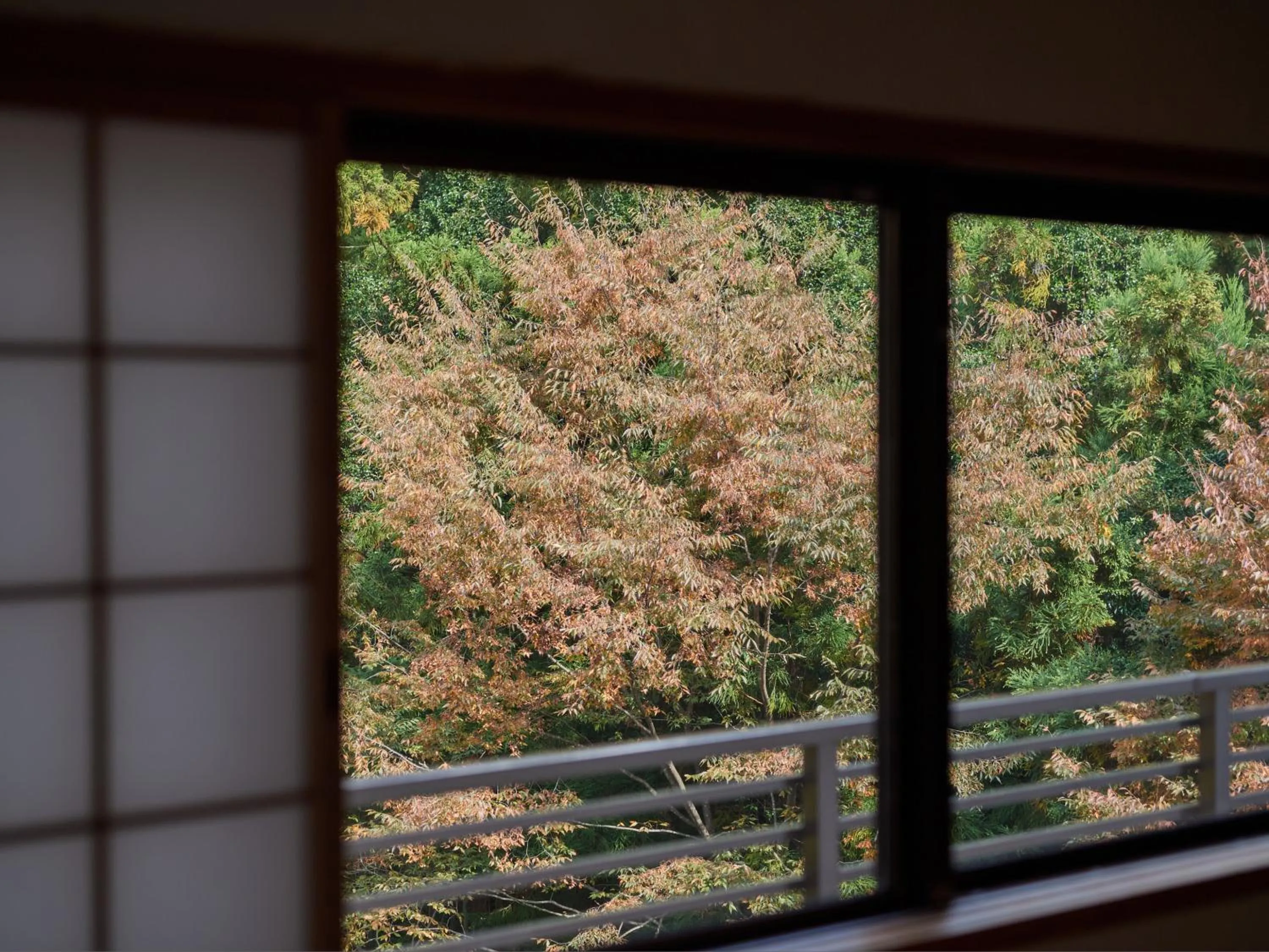 View (from property/room) in Nikkokinugawa Onsen Kiyomizu no Yado