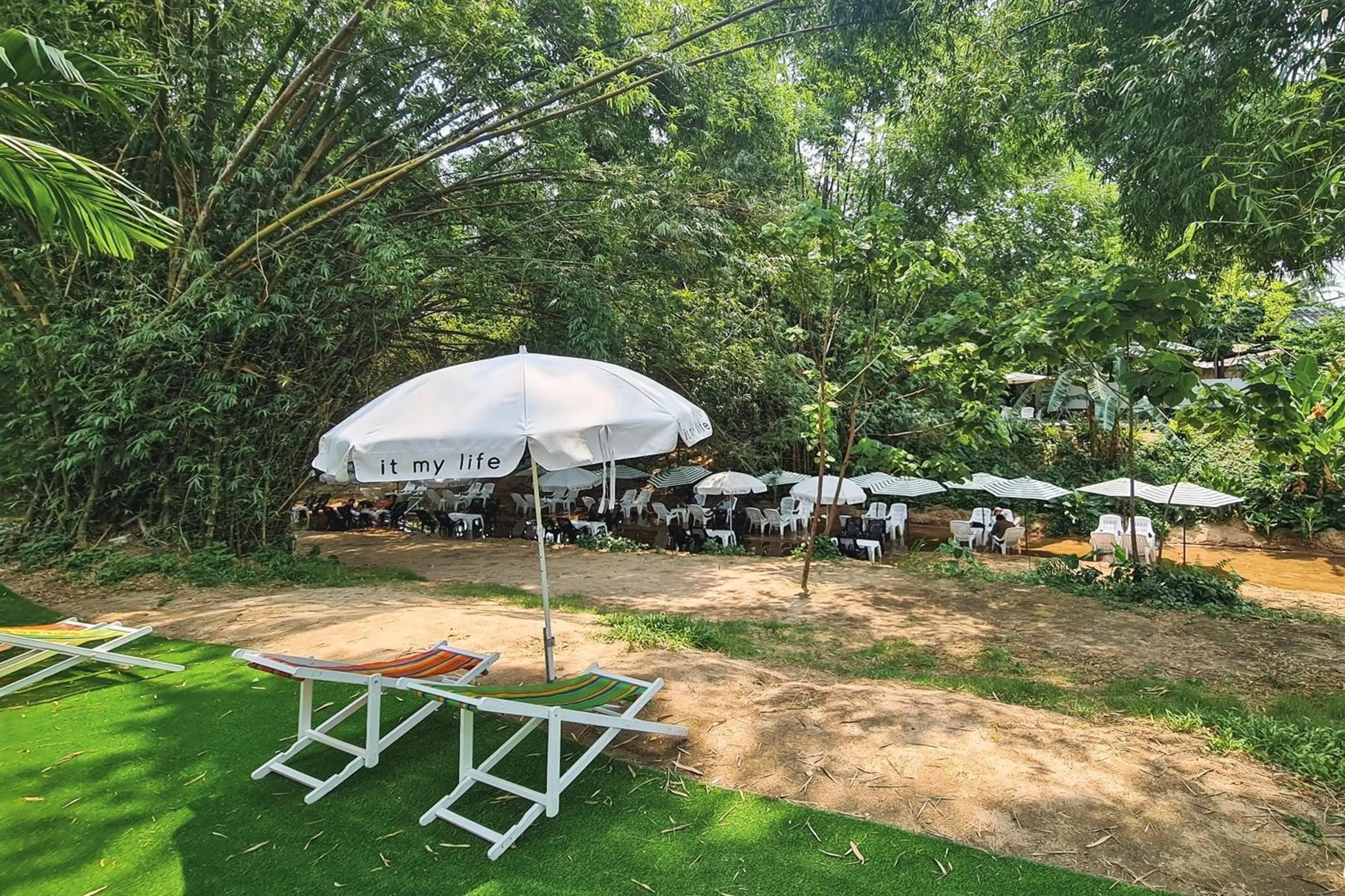 Garden view in It my life cafe x camp