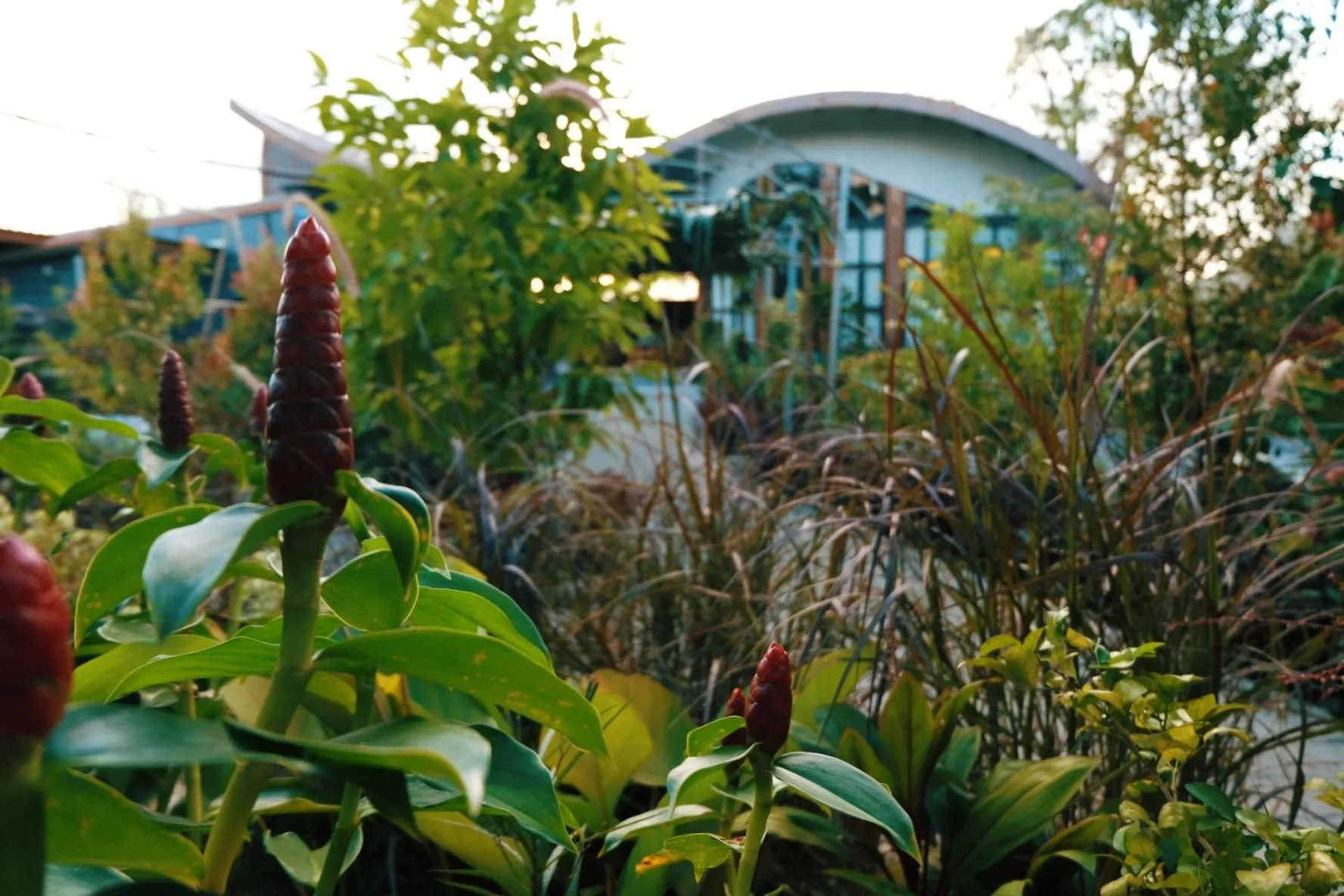 Restaurant/places to eat in Le Pes Villas