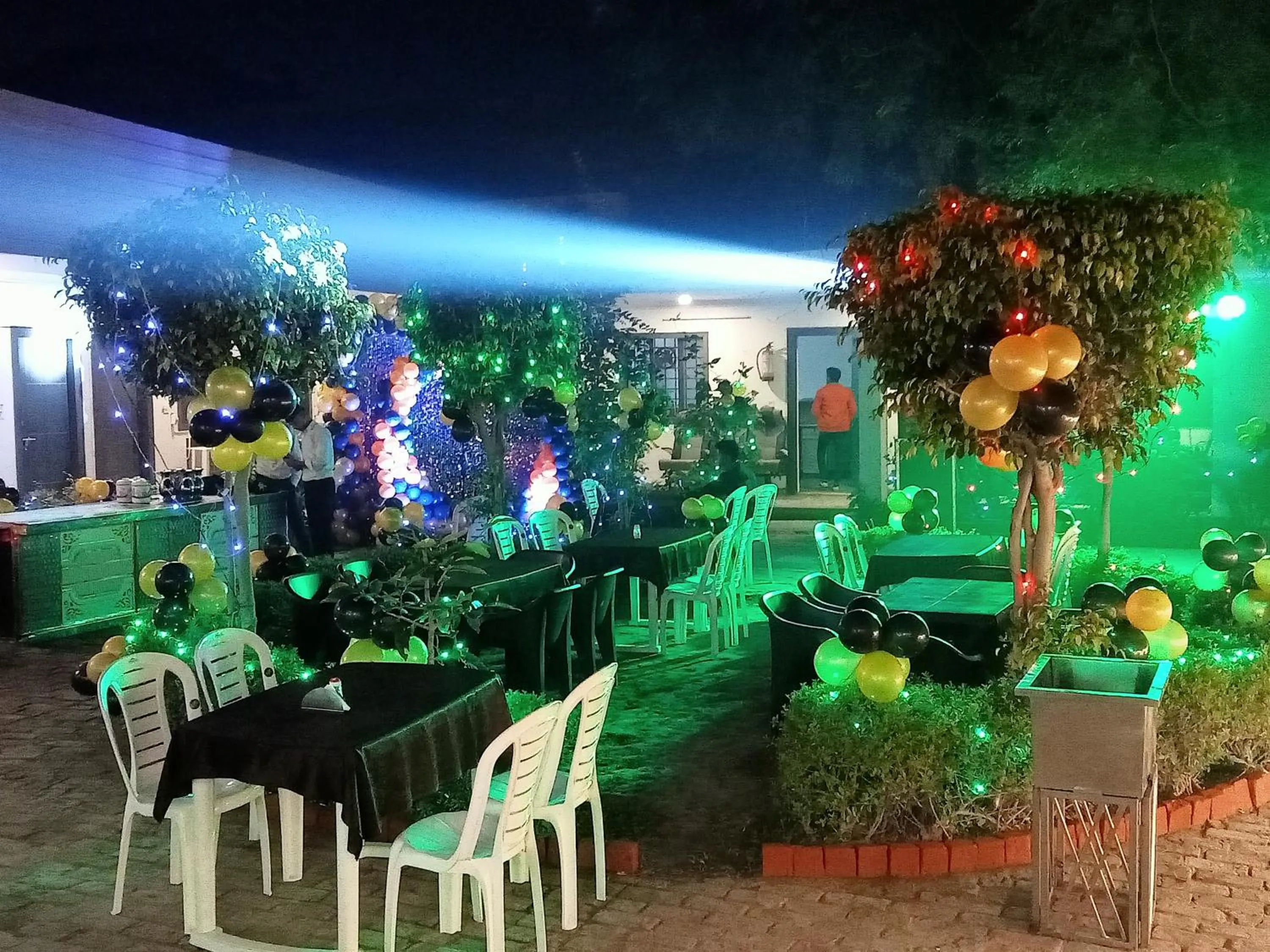 Night in HOTEL SHYAM PALACE INDIA AGRA