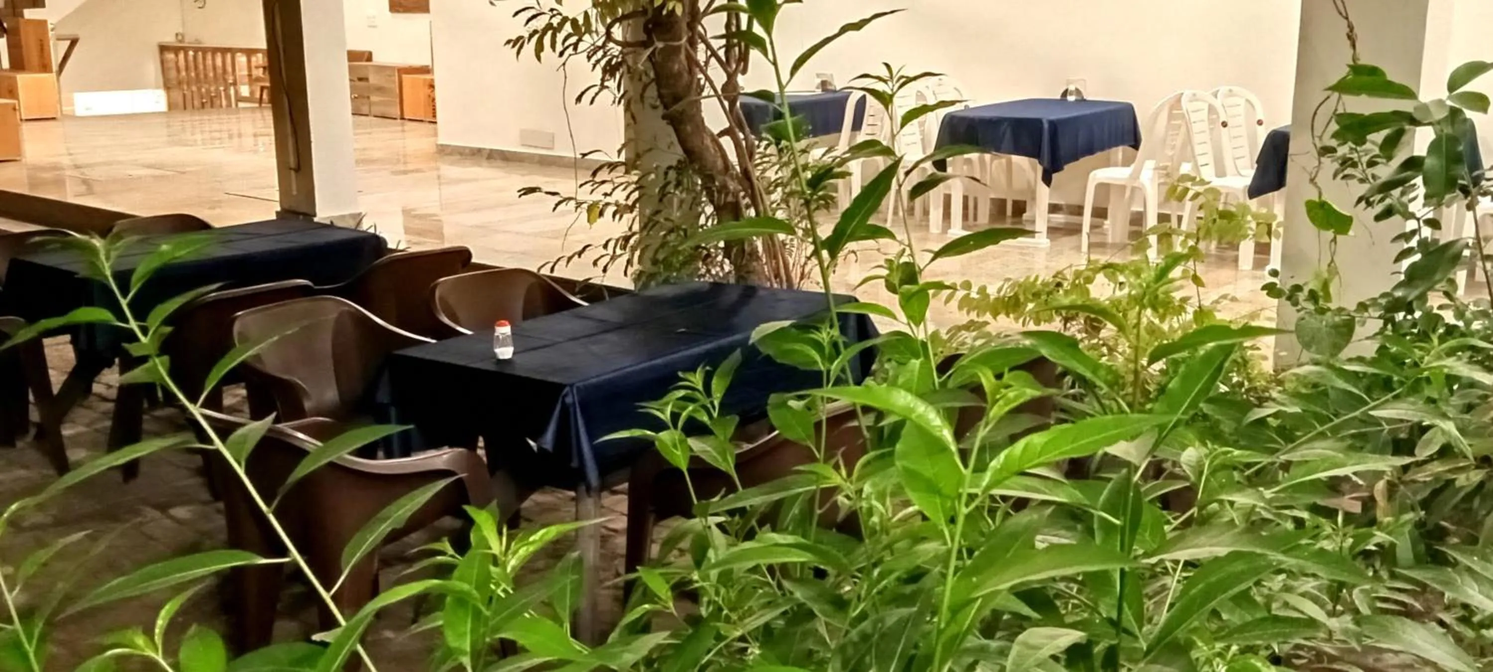 Garden in HOTEL SHYAM PALACE INDIA AGRA