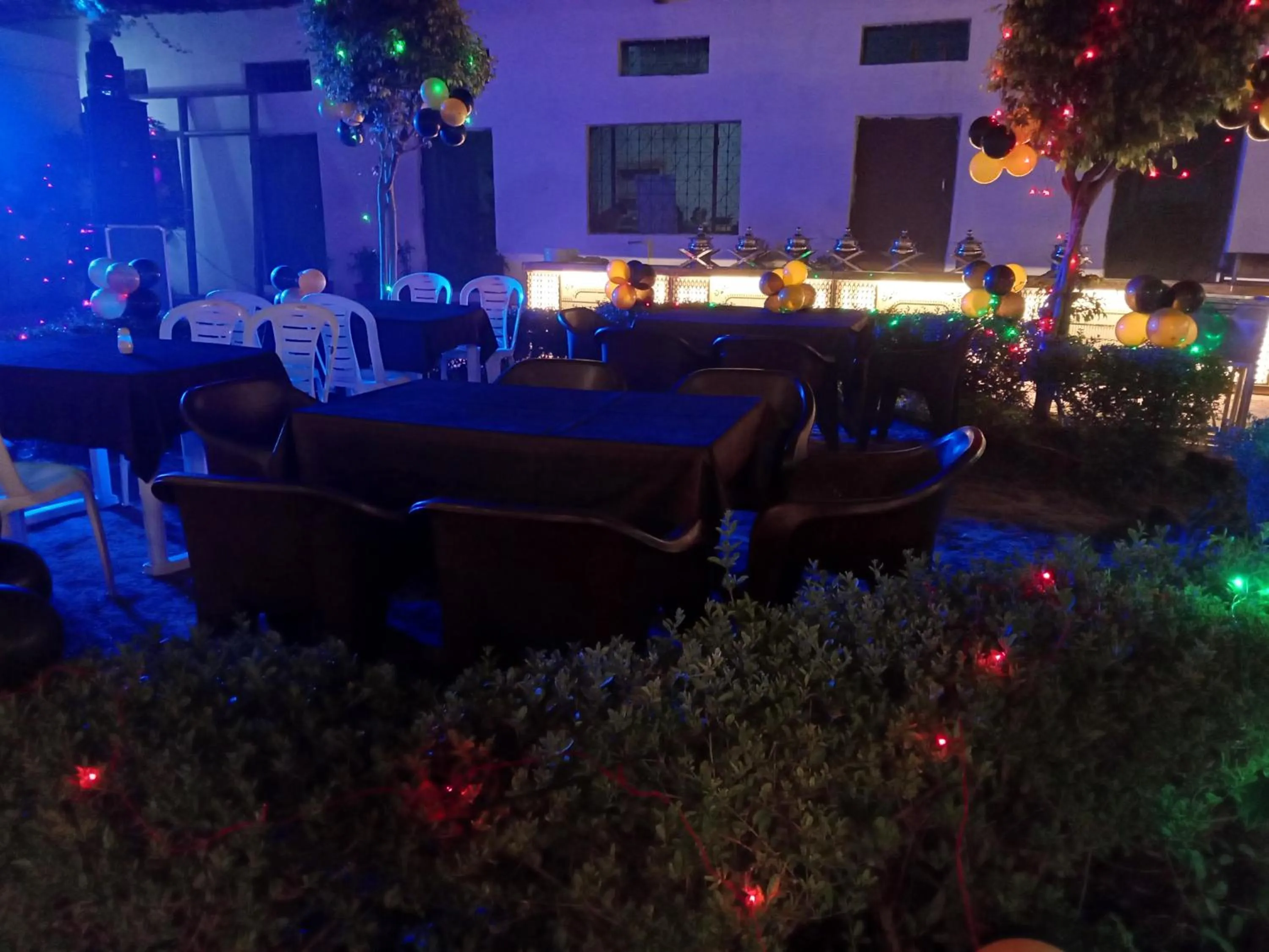 Night in HOTEL SHYAM PALACE INDIA AGRA