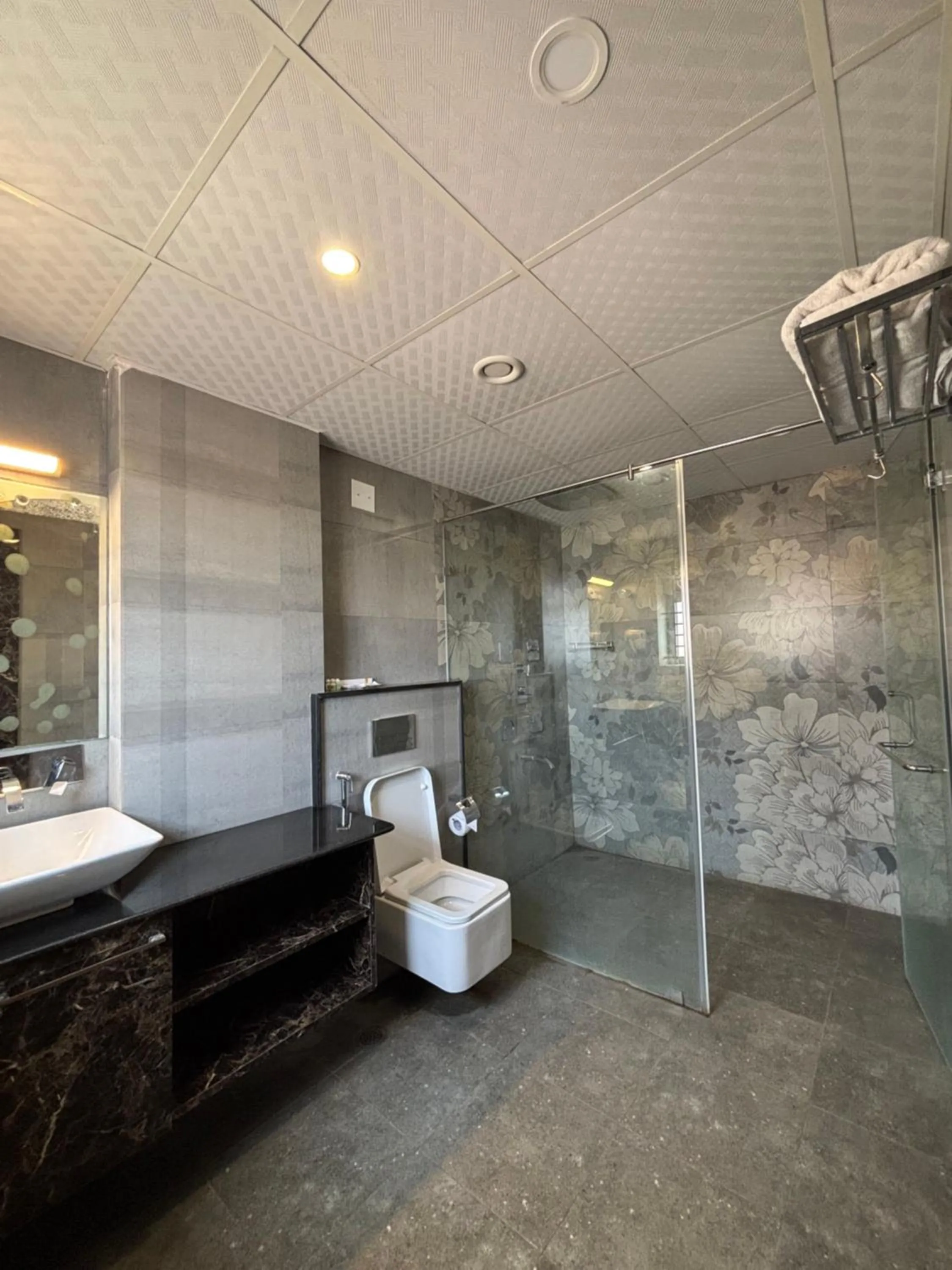 Toilet in Hotel White Rock