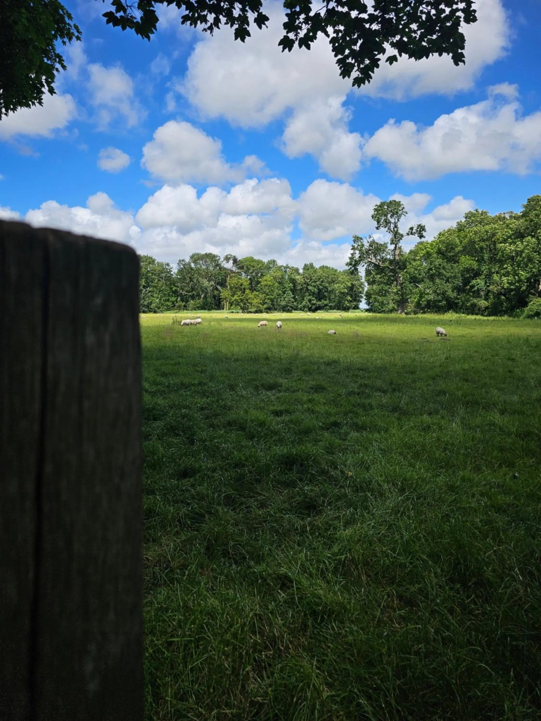 Natural landscape in Hotel Heemskerk