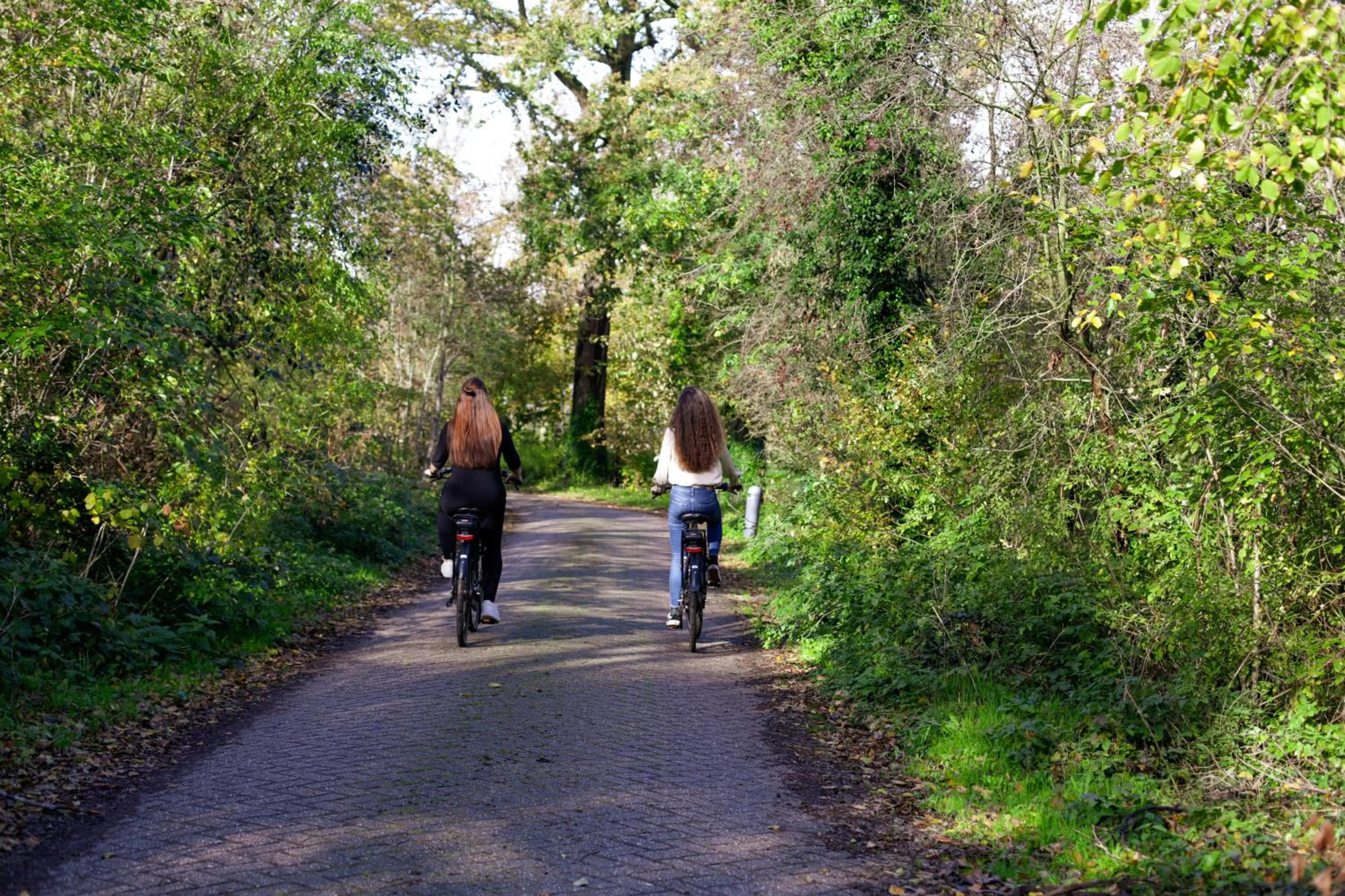 Cycling in Hotel Heemskerk