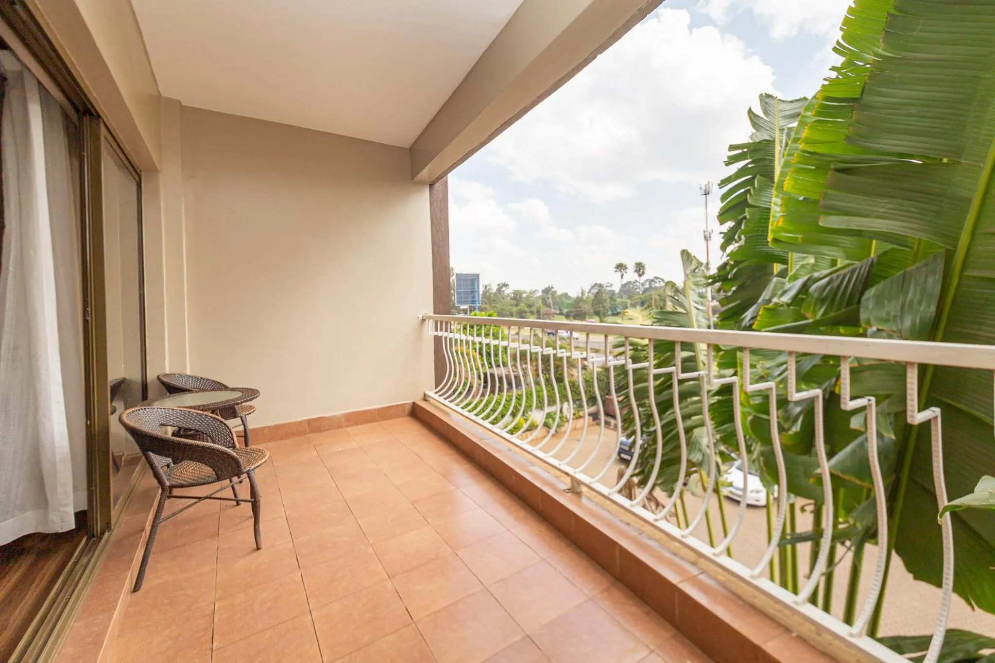 Garden in Eldon Villas