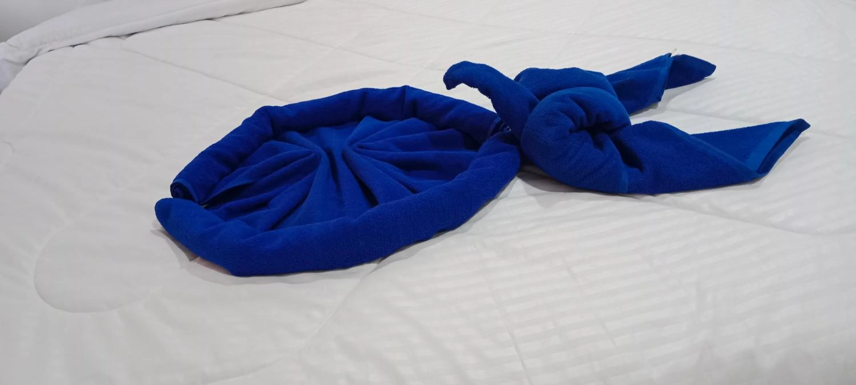 Guests, Bed in Hotel Aaradhya