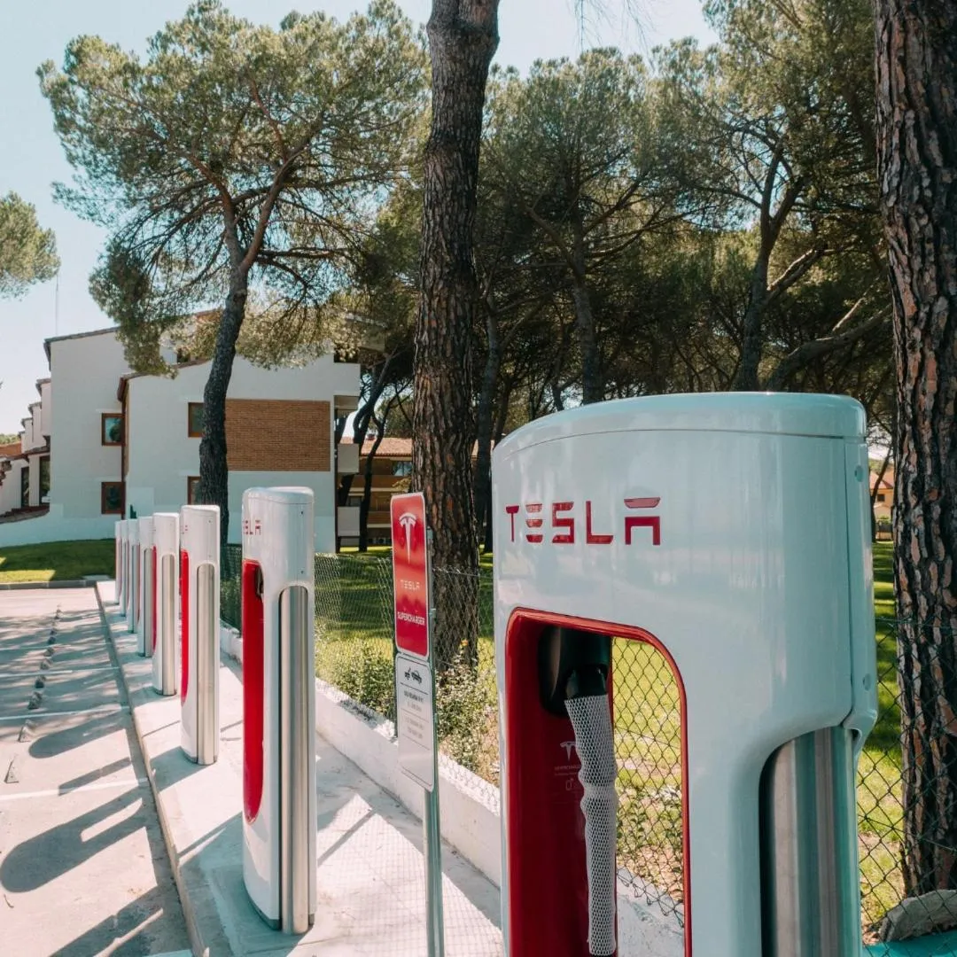 View (from property/room) in Hotel Restaurante El Montico