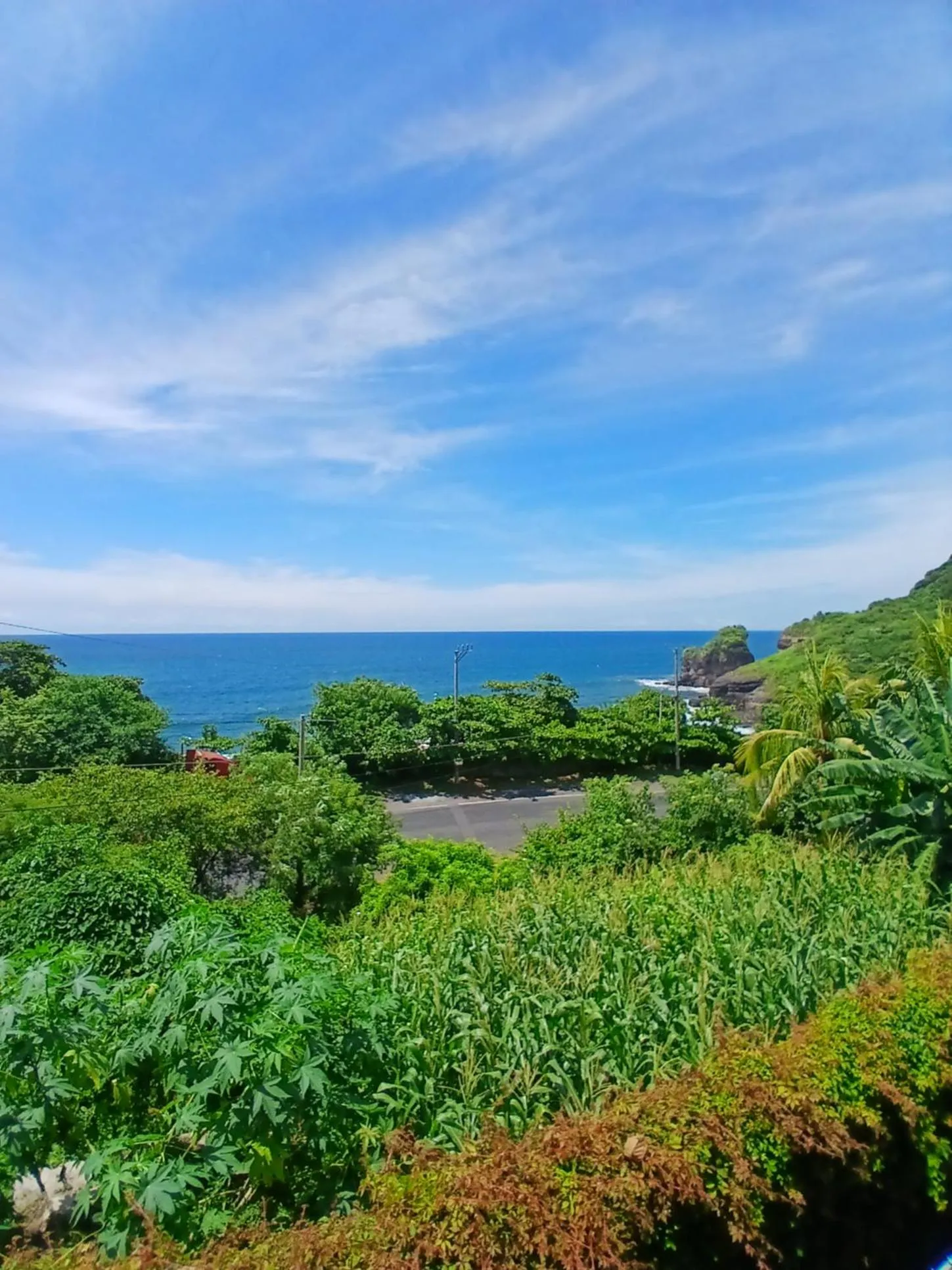 Garden view in El Xalli Hotel