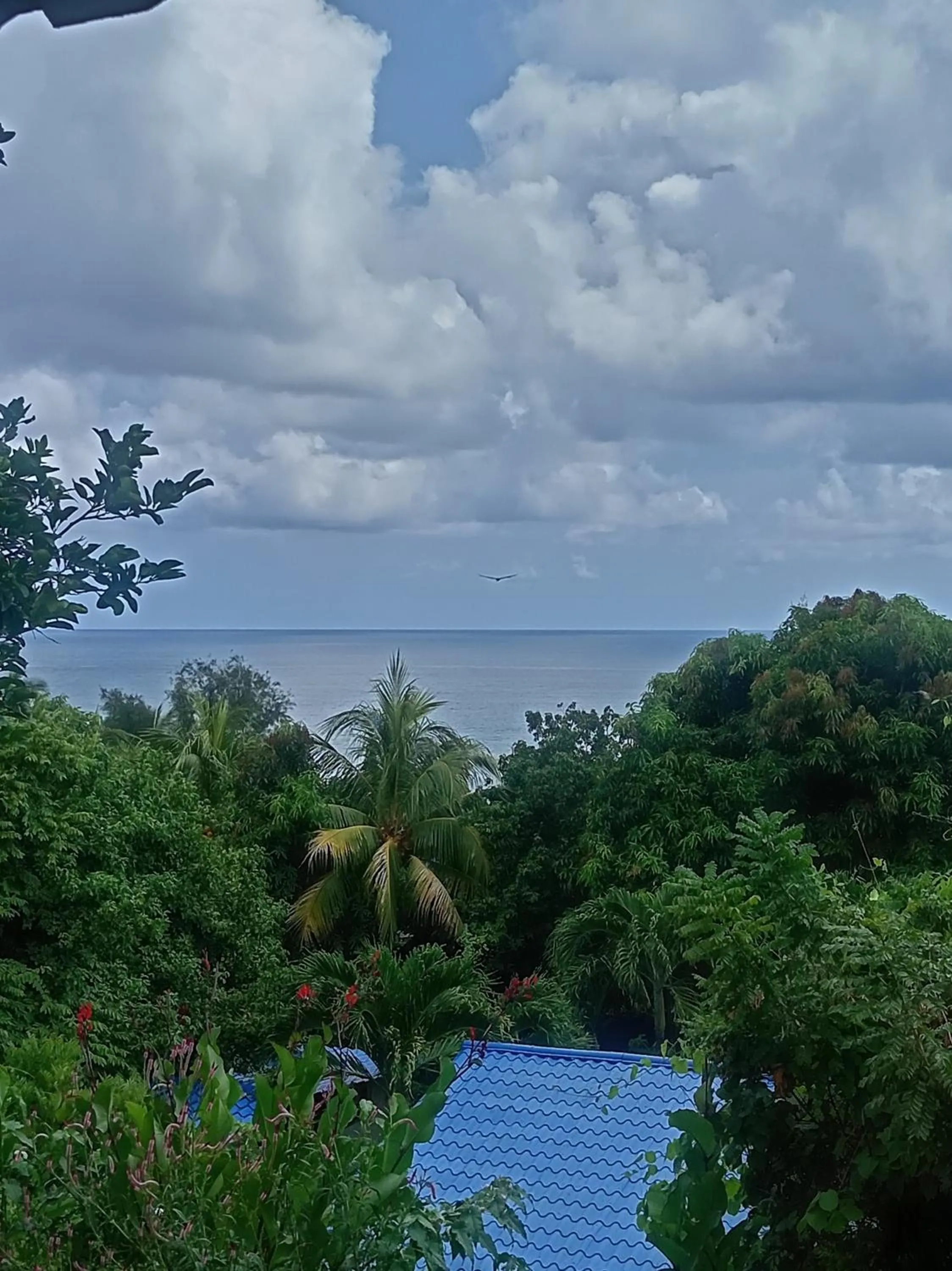 Natural landscape in El Xalli Hotel