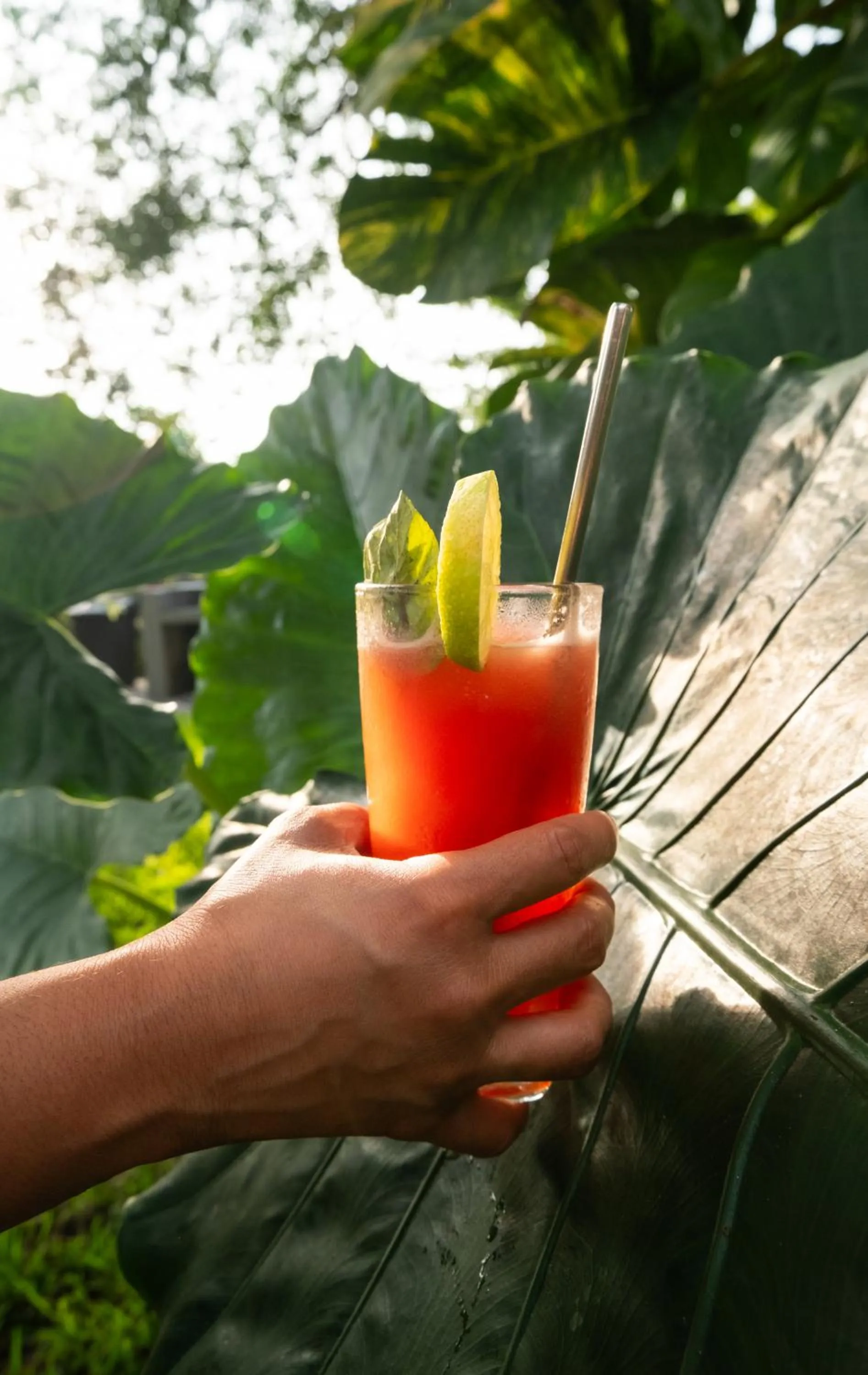 Drinks in El Xalli Hotel