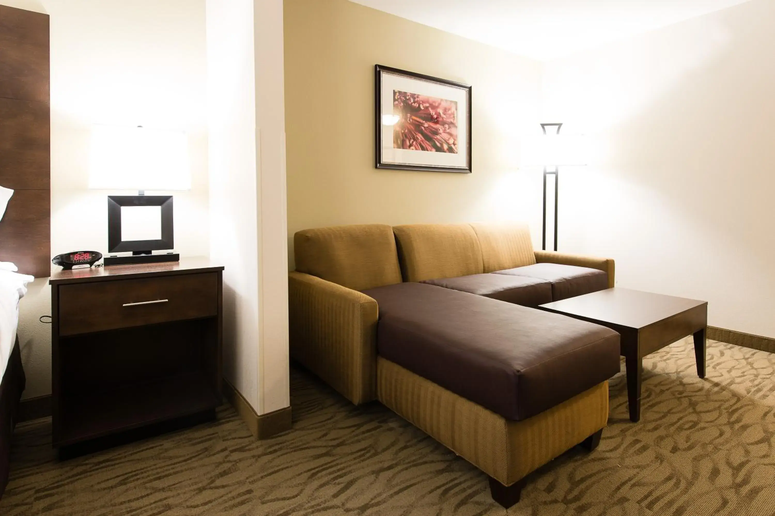 Standard King Room with Sofa Bed in Holiday Inn Express & Suites Aiken, an IHG Hotel Standard King Room with Sofa Bed in Holiday Inn Express & Suites Aiken, an IHG Hotel