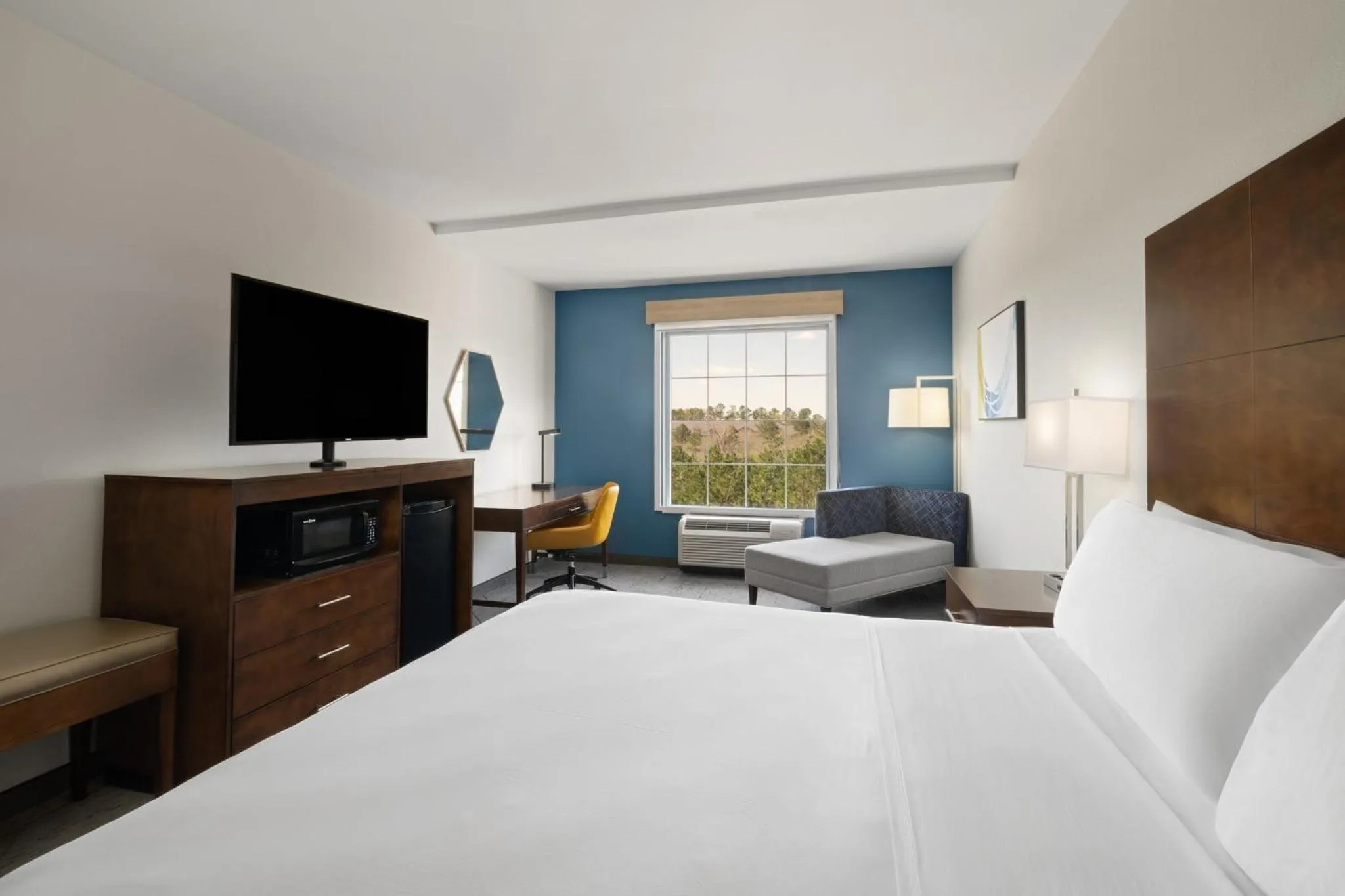 Photo of the whole room, Bed in Holiday Inn Express & Suites Aiken by IHG