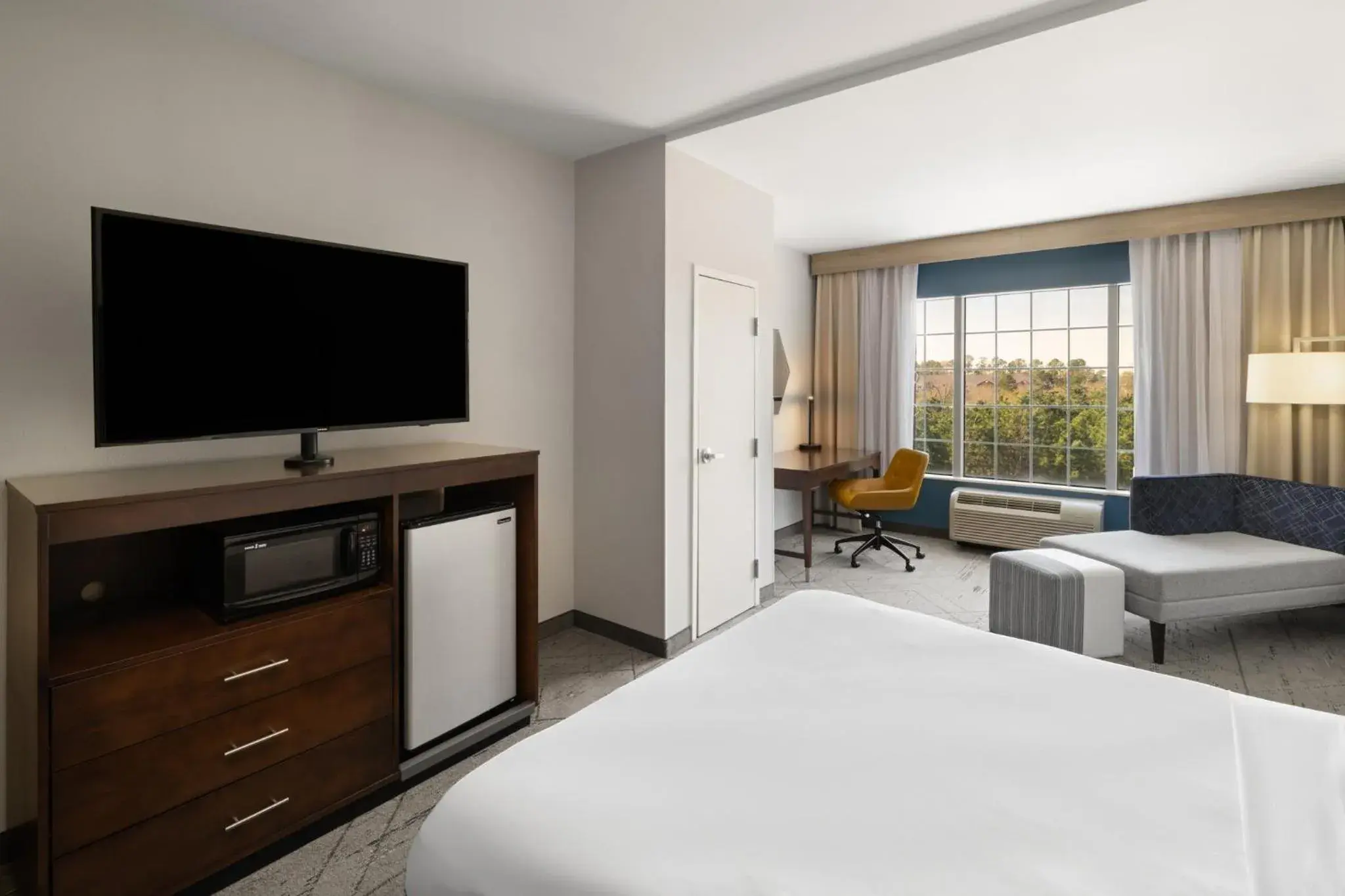 Standard Room in Holiday Inn Express & Suites Aiken by IHG Standard Room in Holiday Inn Express & Suites Aiken by IHG