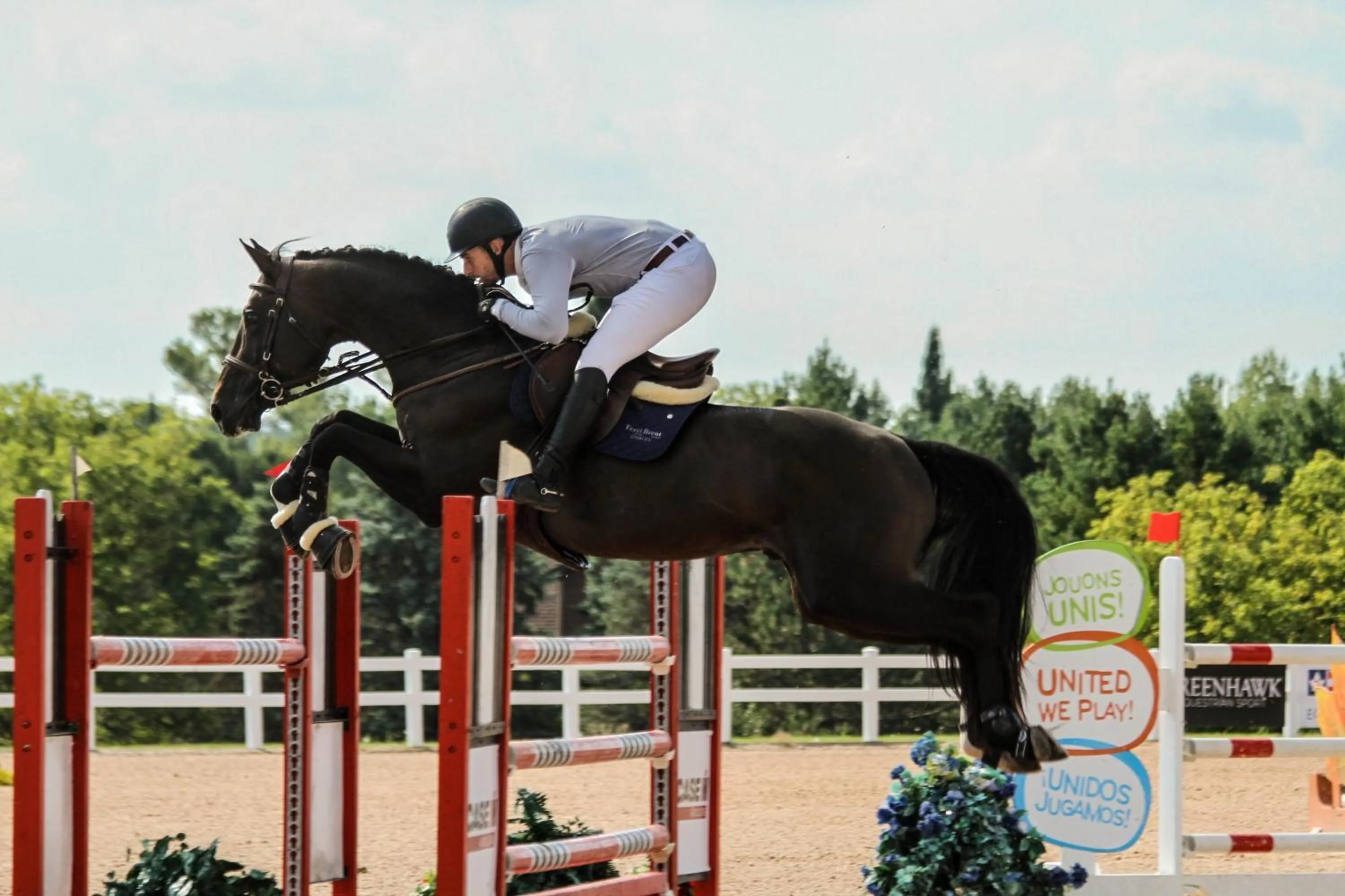 Decorative detail in Holiday Inn Express & Suites Aiken by IHG