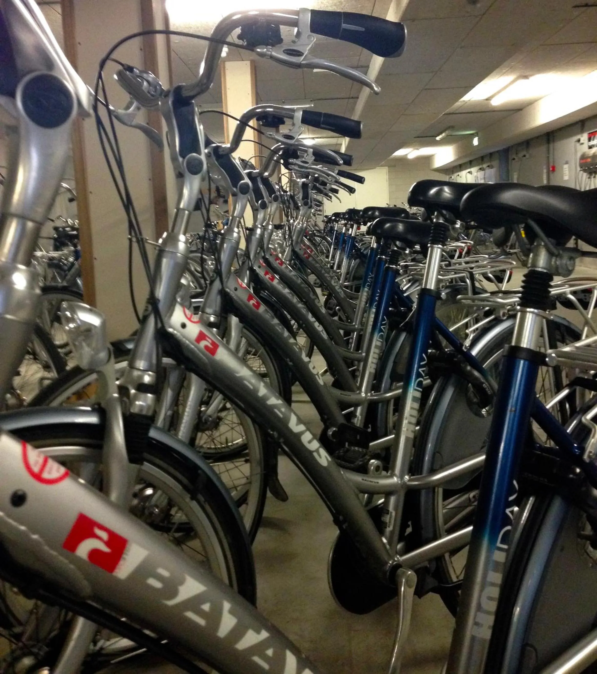 On site in Hotel De Walvisvaarder