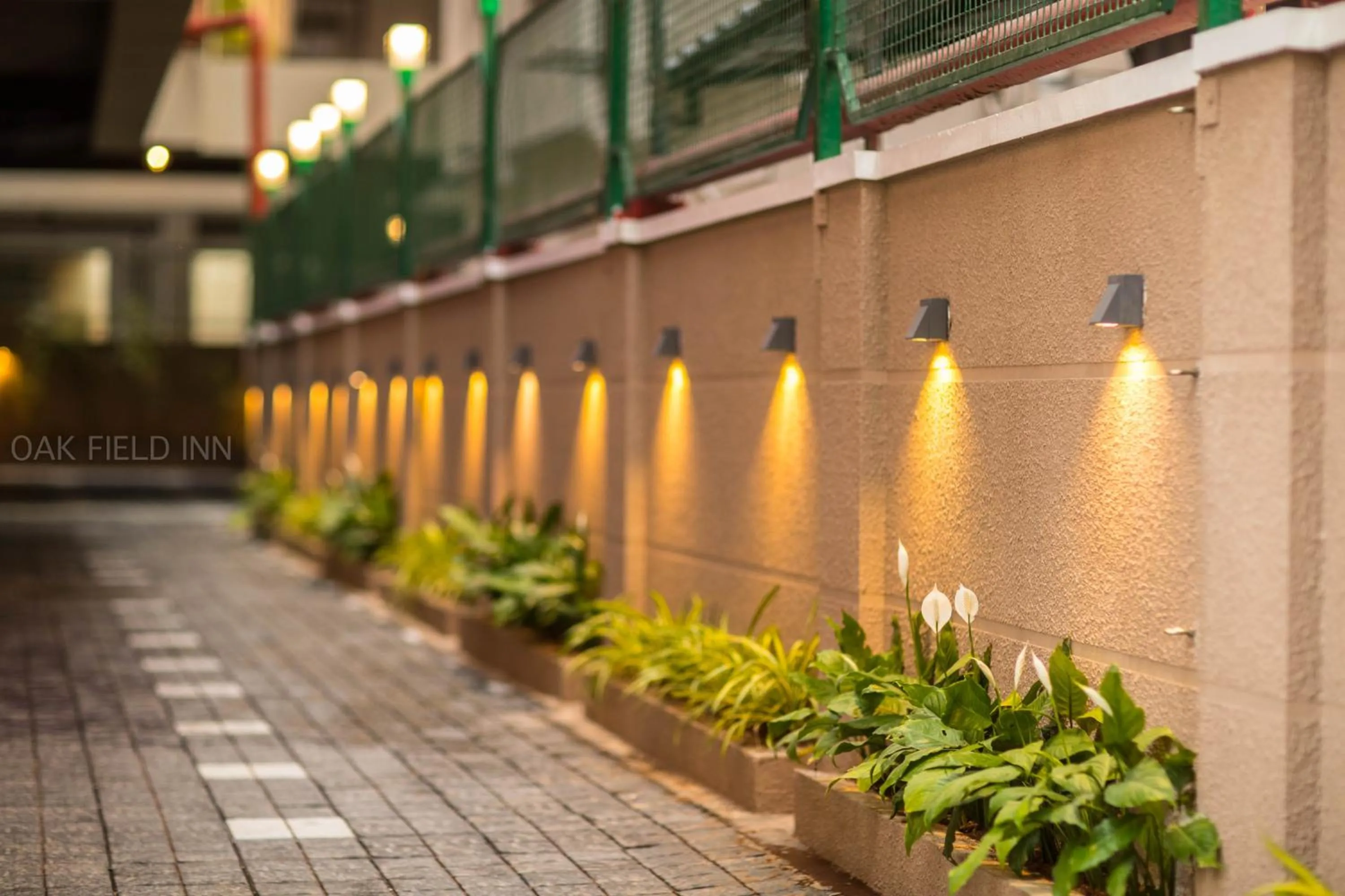 Garden in Oak Field Inn