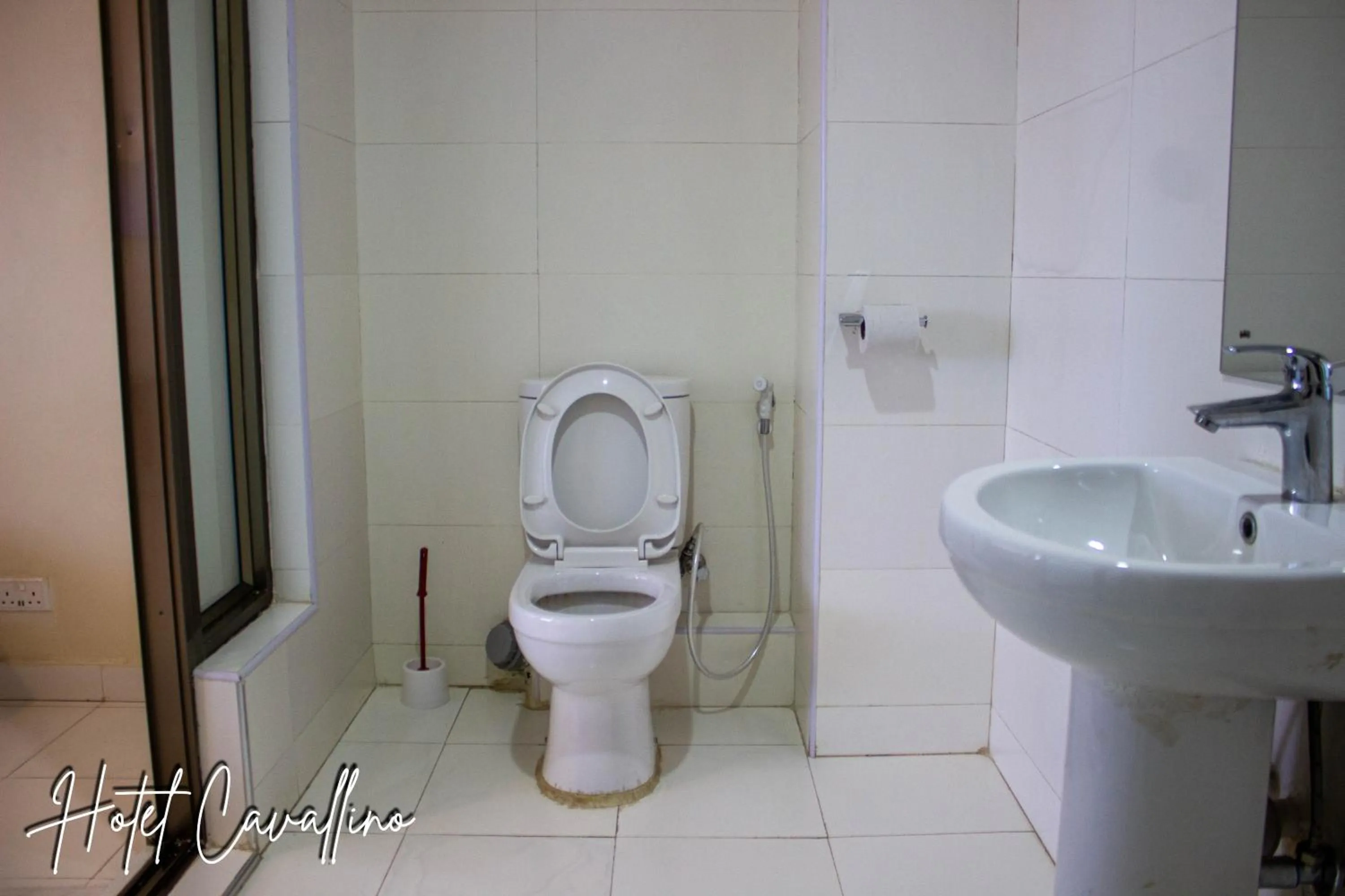 Shower in Hotel Cavallino