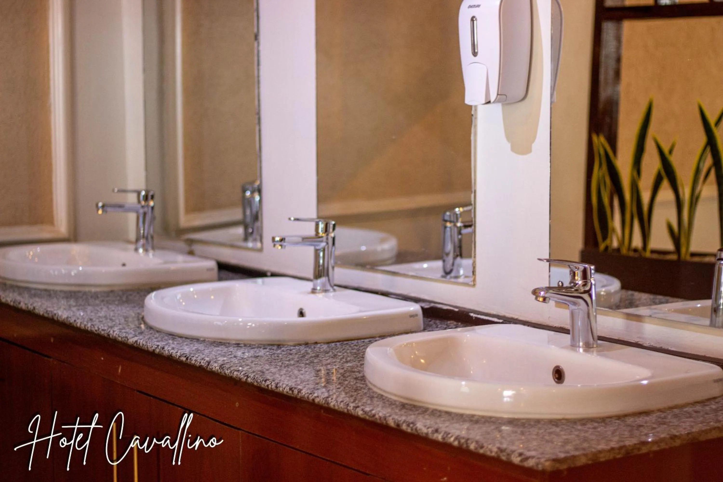 Restaurant/places to eat in Hotel Cavallino