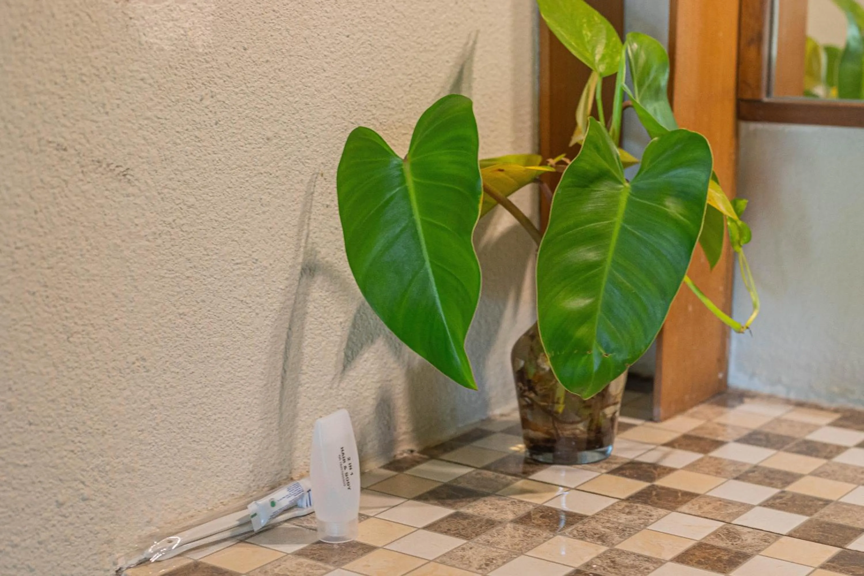 Area and facilities in Green Asri Hotel