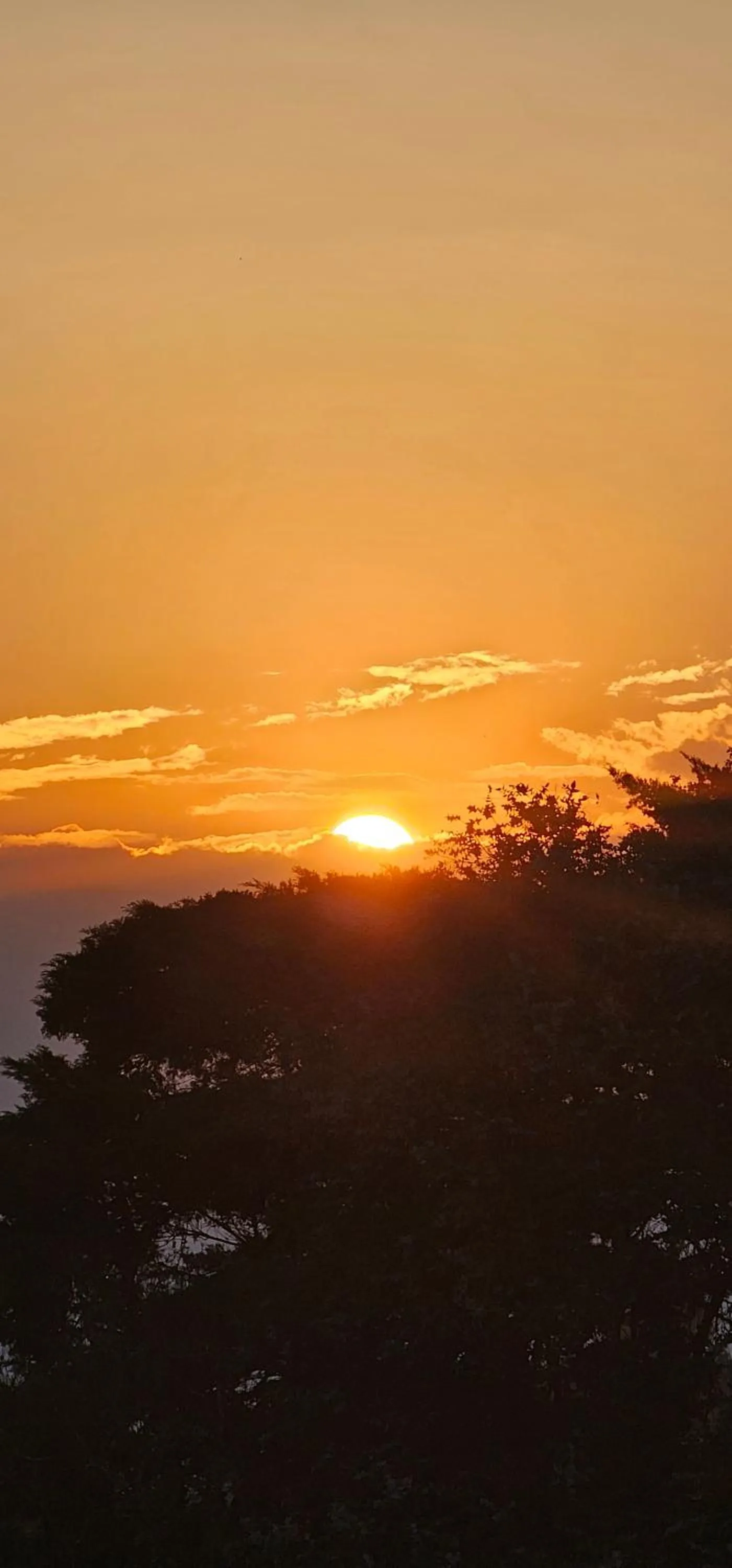 Pousada Flor de Lua Monte Verde