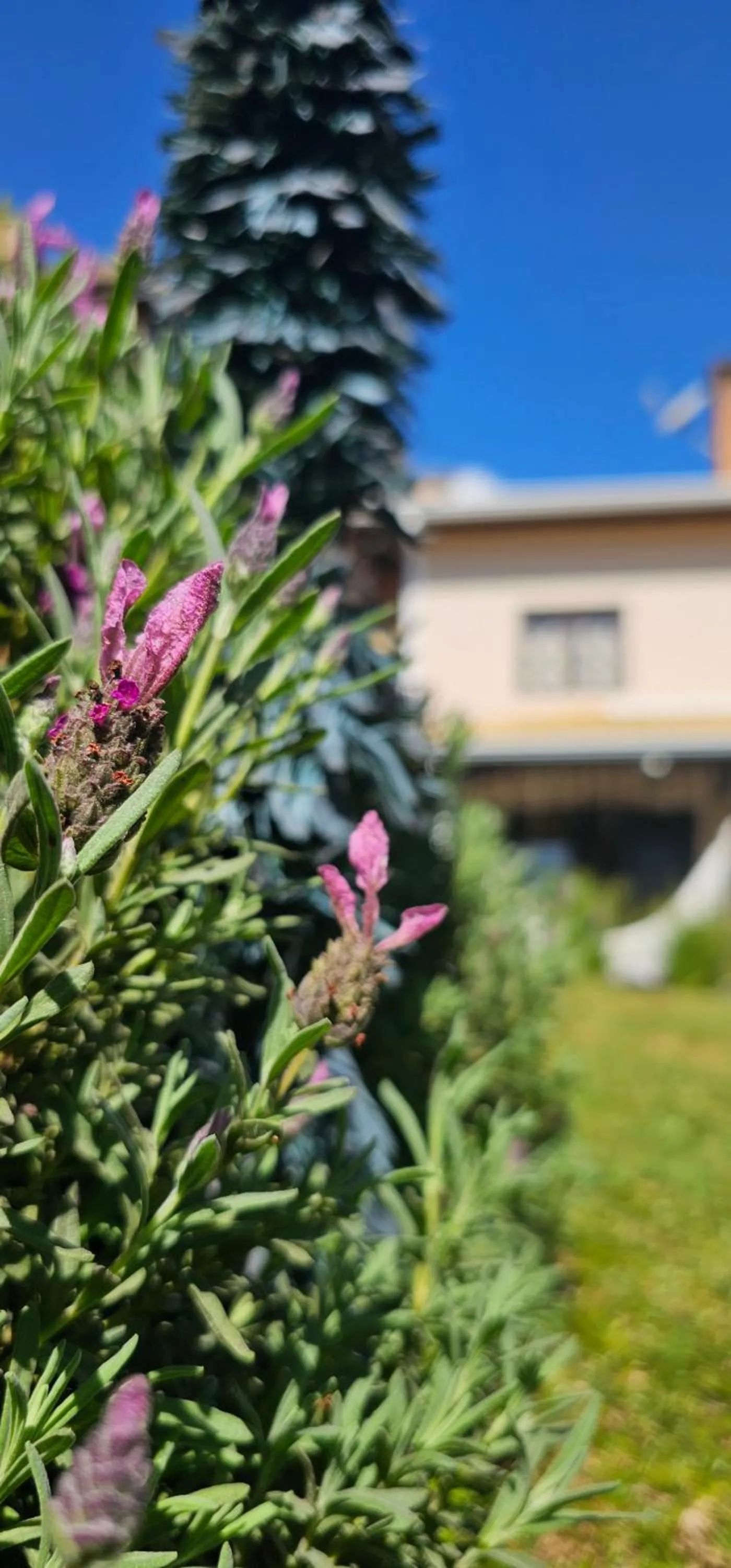 Pousada Flor de Lua Monte Verde