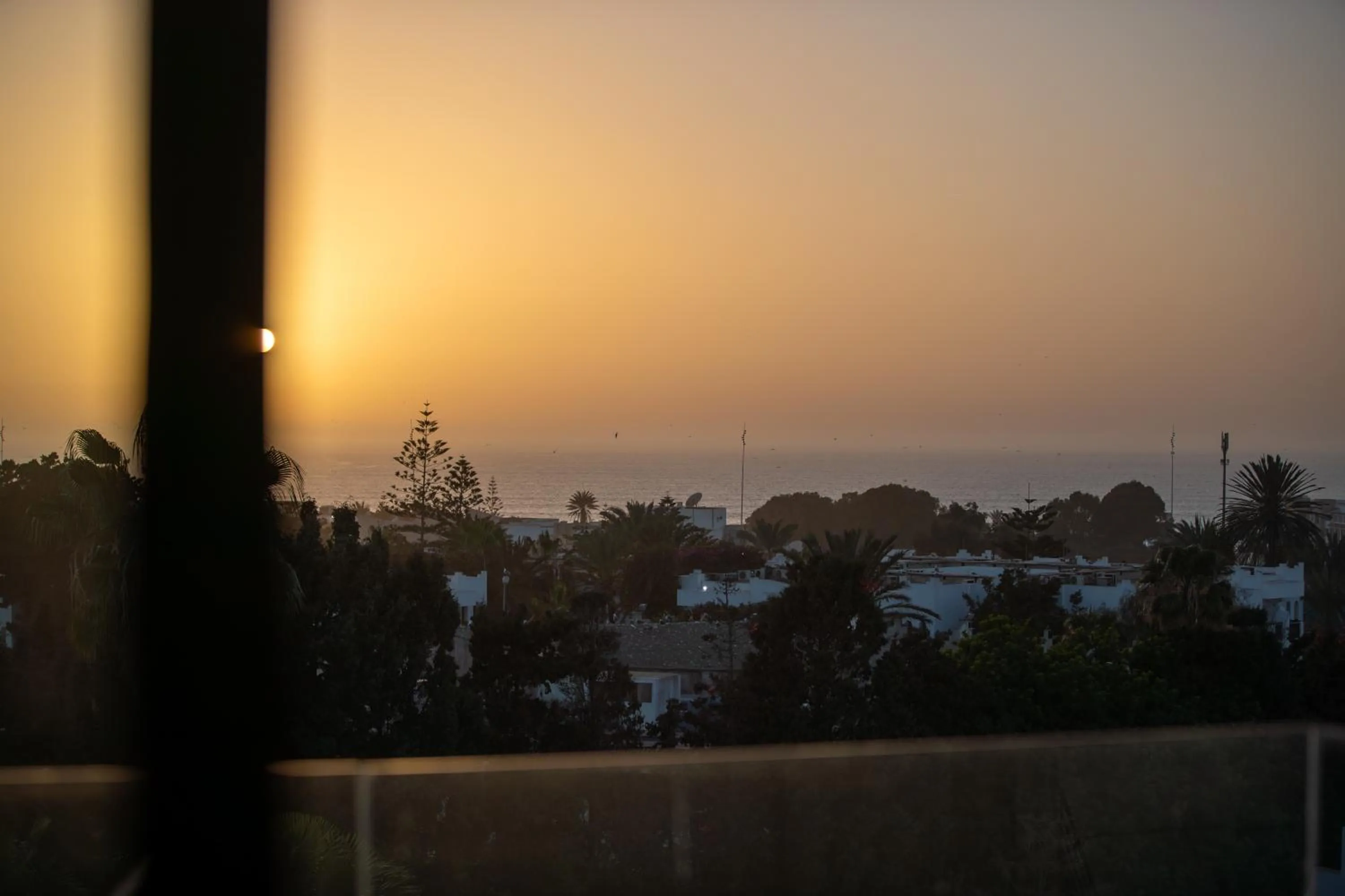 Natural landscape in Dominium Palace